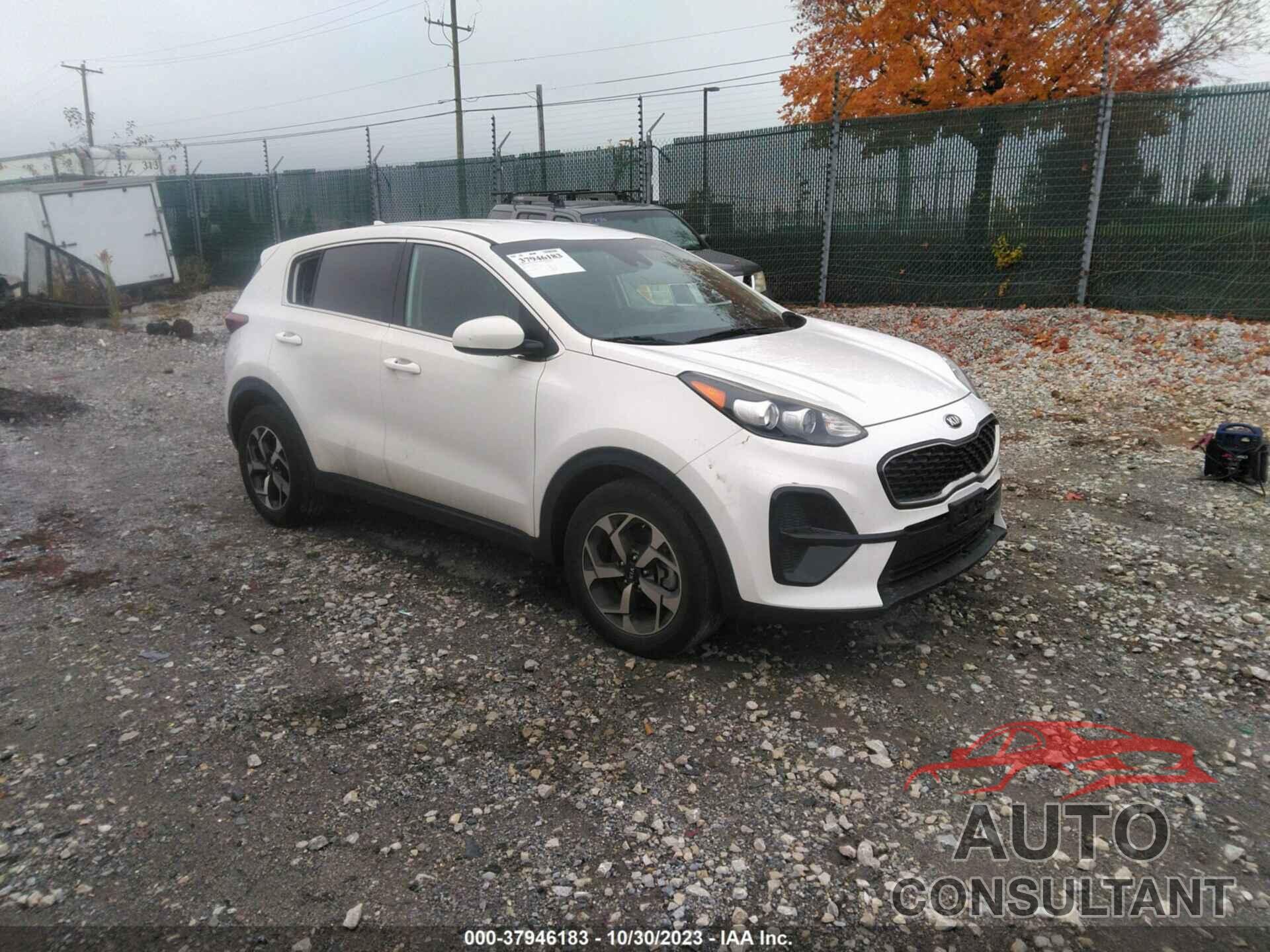 KIA SPORTAGE 2020 - KNDPM3AC3L7812157