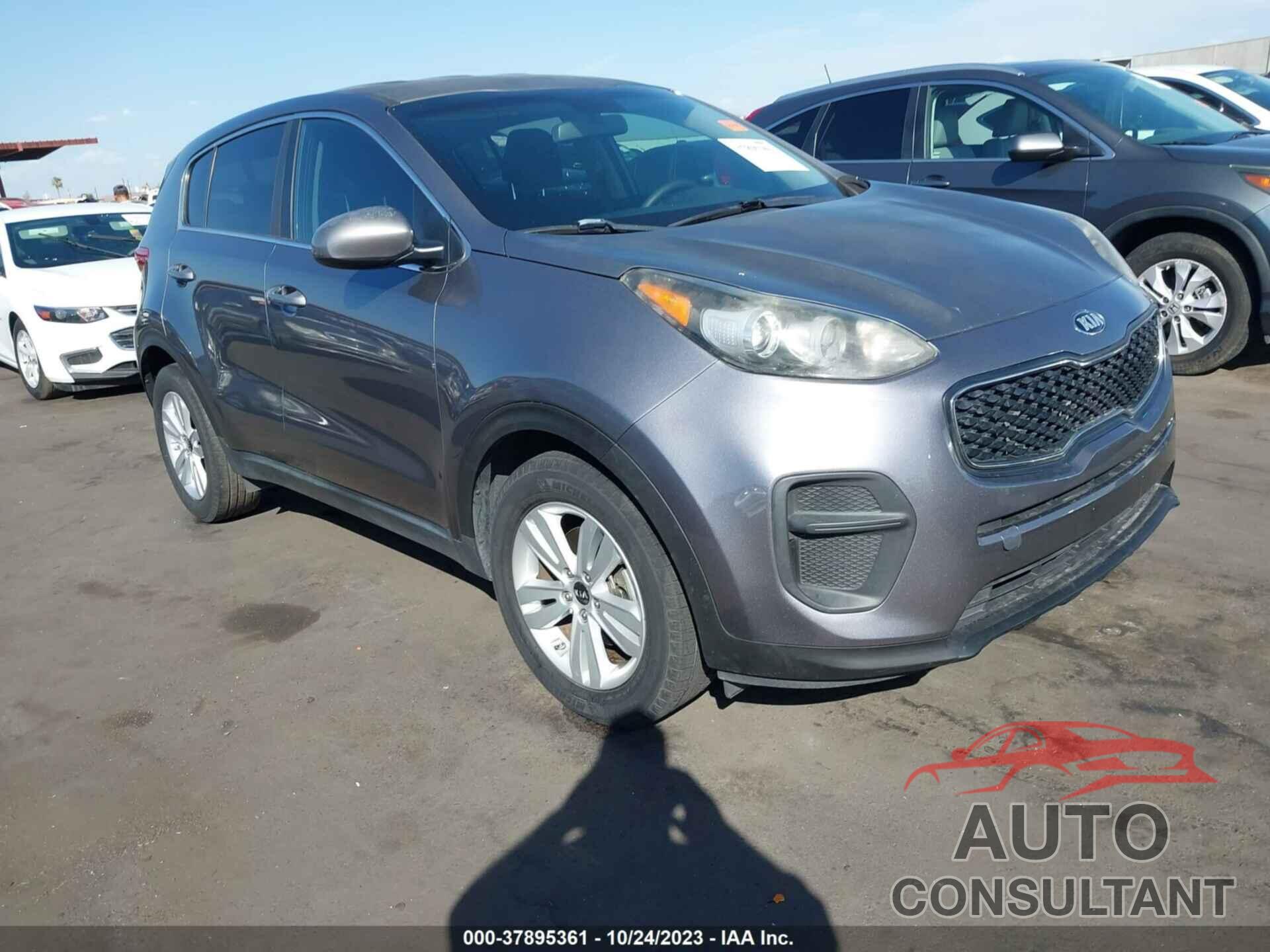 KIA SPORTAGE 2017 - KNDPM3ACXH7100509