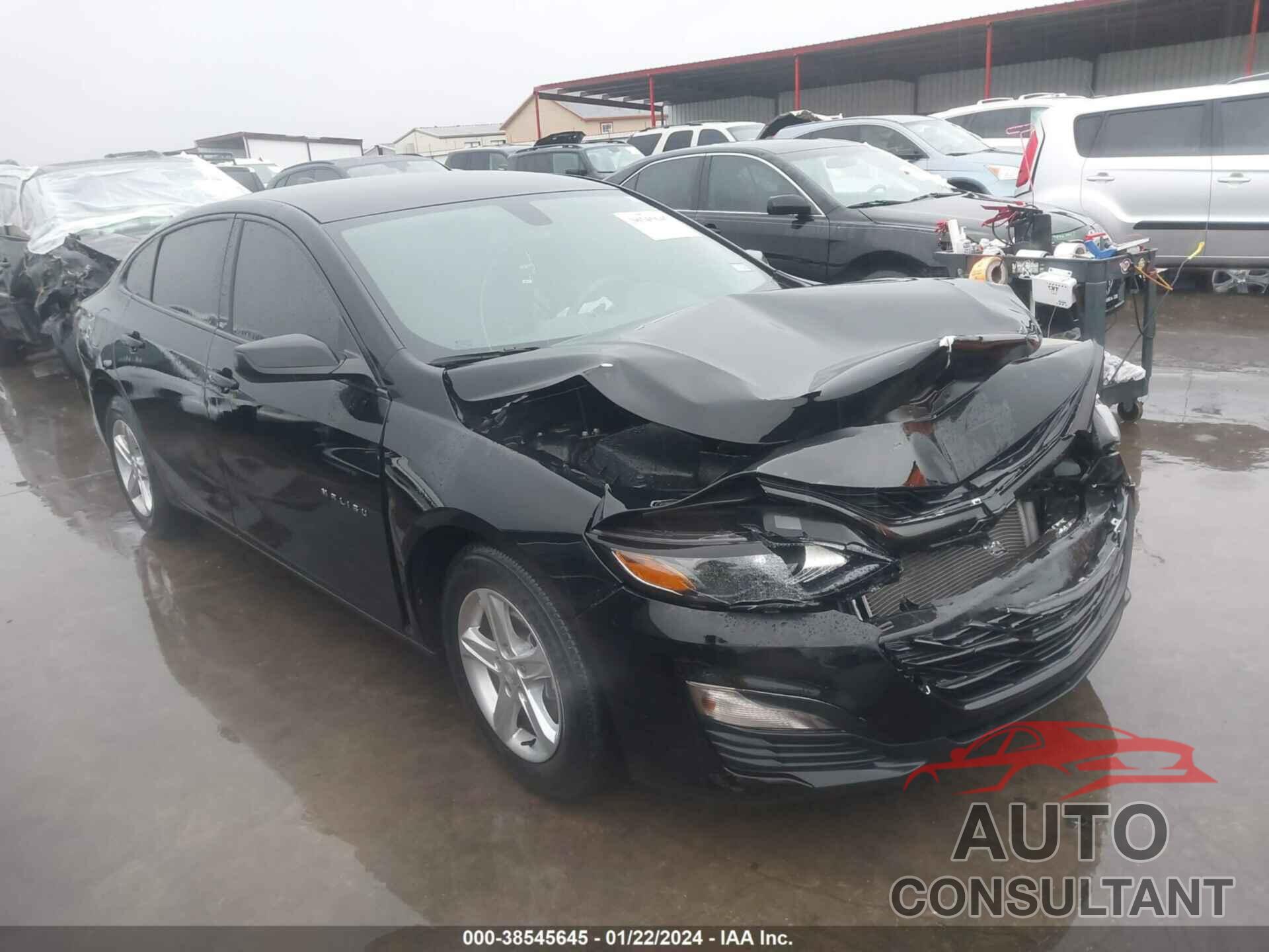 CHEVROLET MALIBU 2019 - 1G1ZB5ST6KF201271