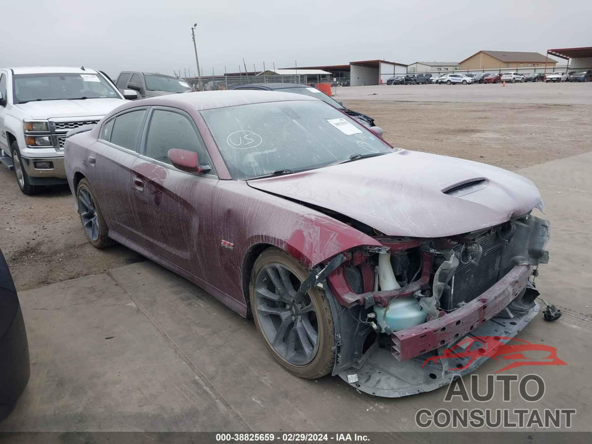 DODGE CHARGER 2021 - 2C3CDXGJ0MH528538