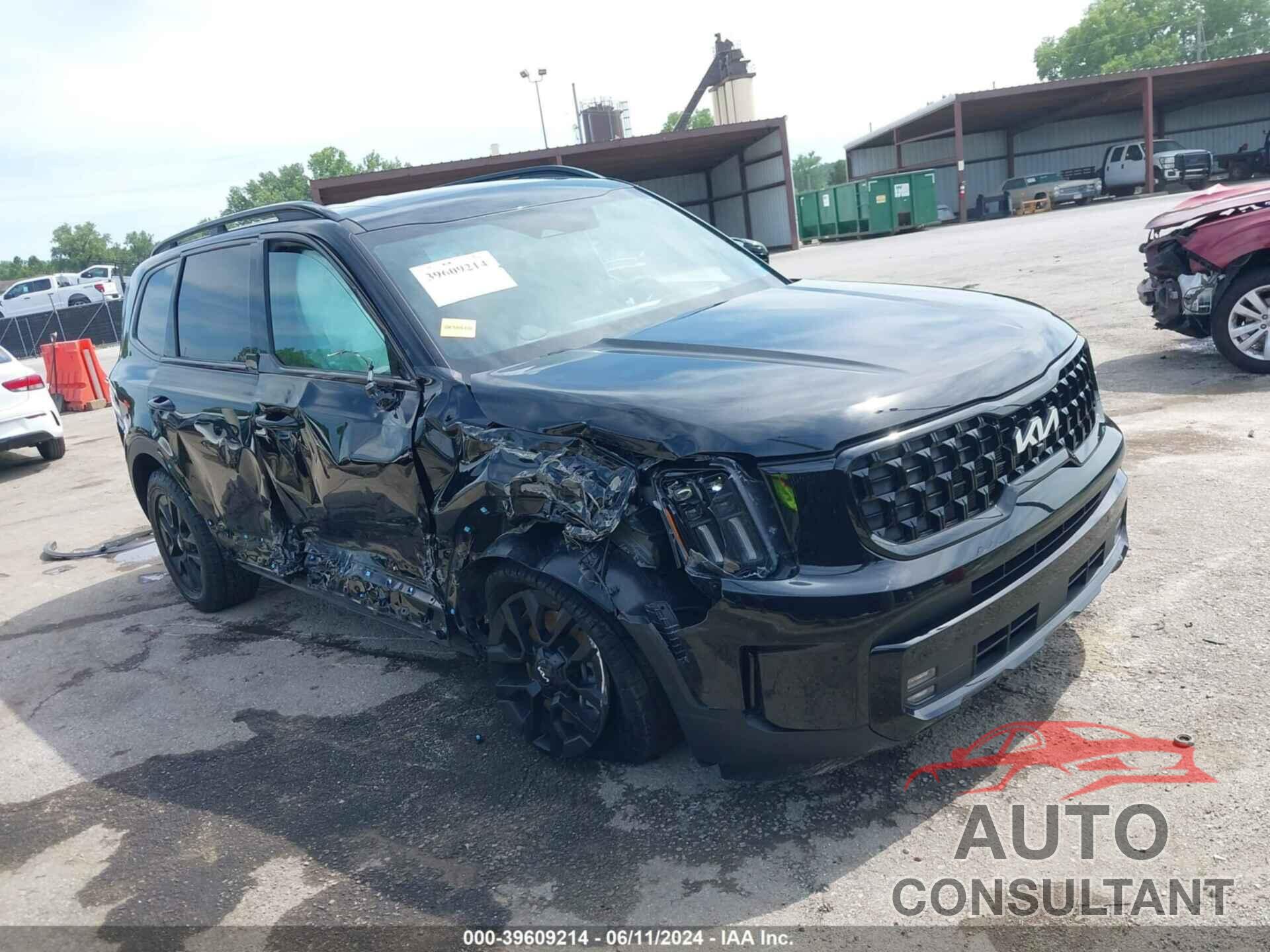 KIA TELLURIDE 2024 - 5XYP5DGC8RG463714