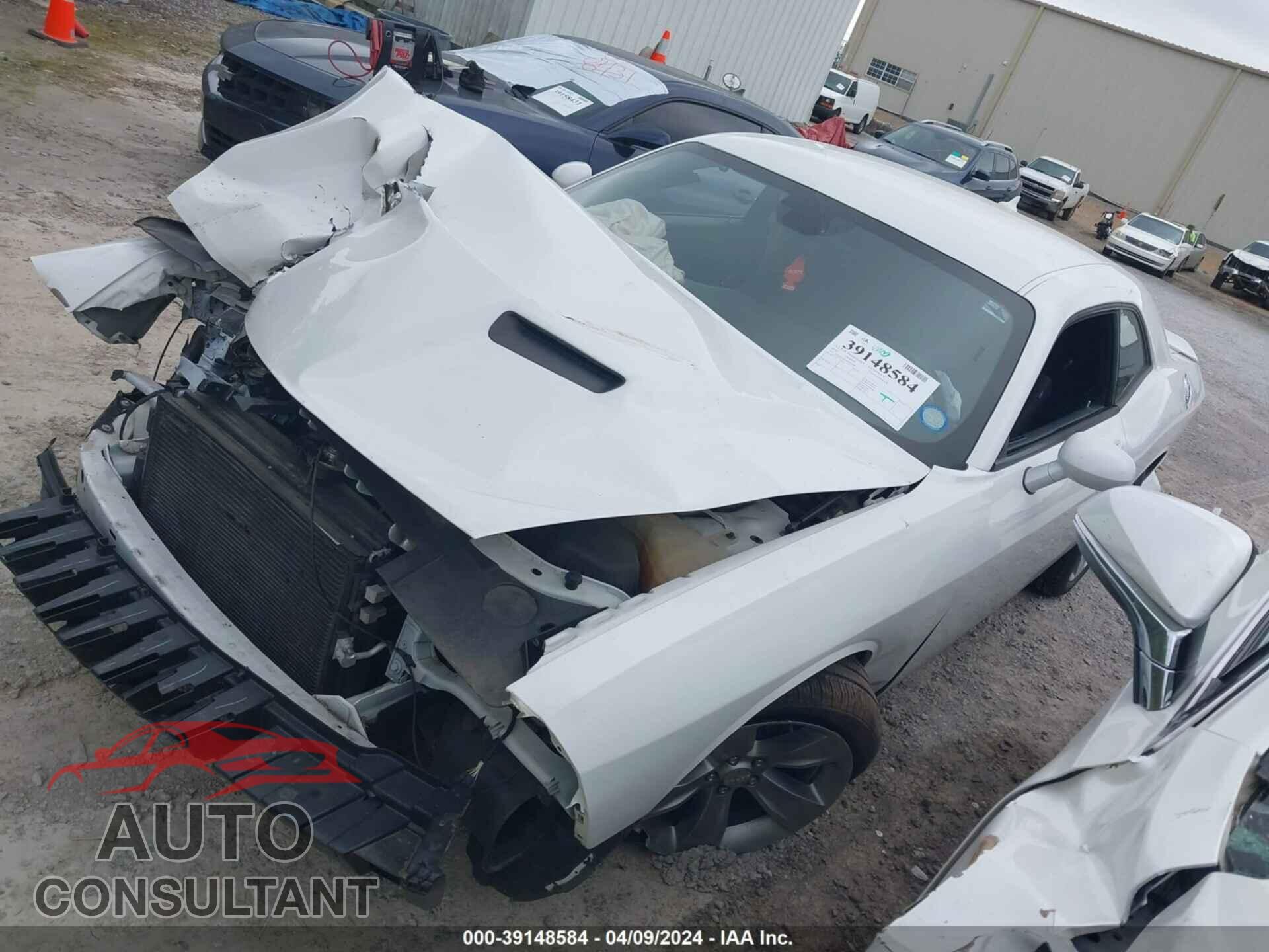 DODGE CHALLENGER 2019 - 2C3CDZAG4KH503664