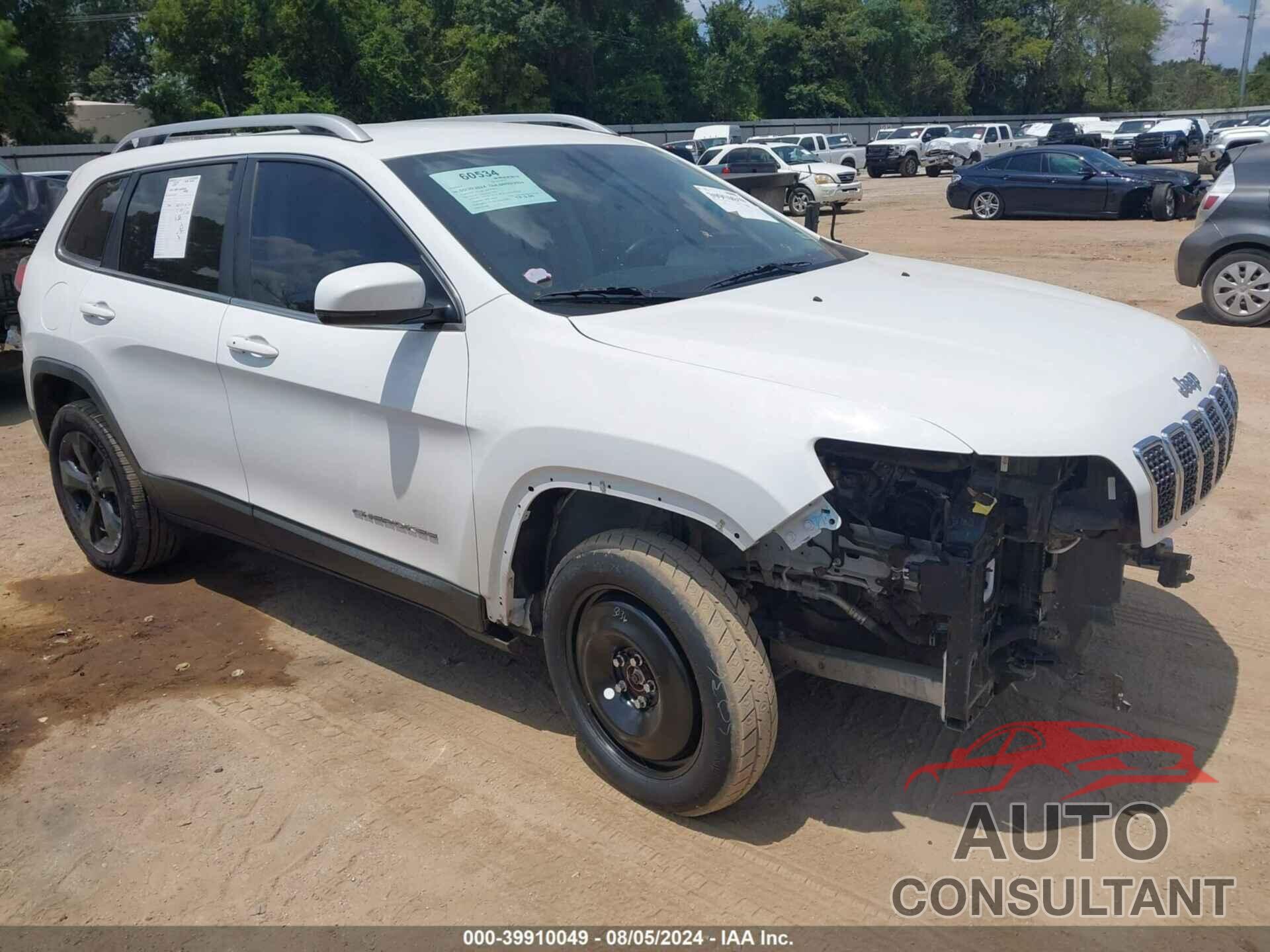 JEEP CHEROKEE 2019 - 1C4PJMDN8KD292968