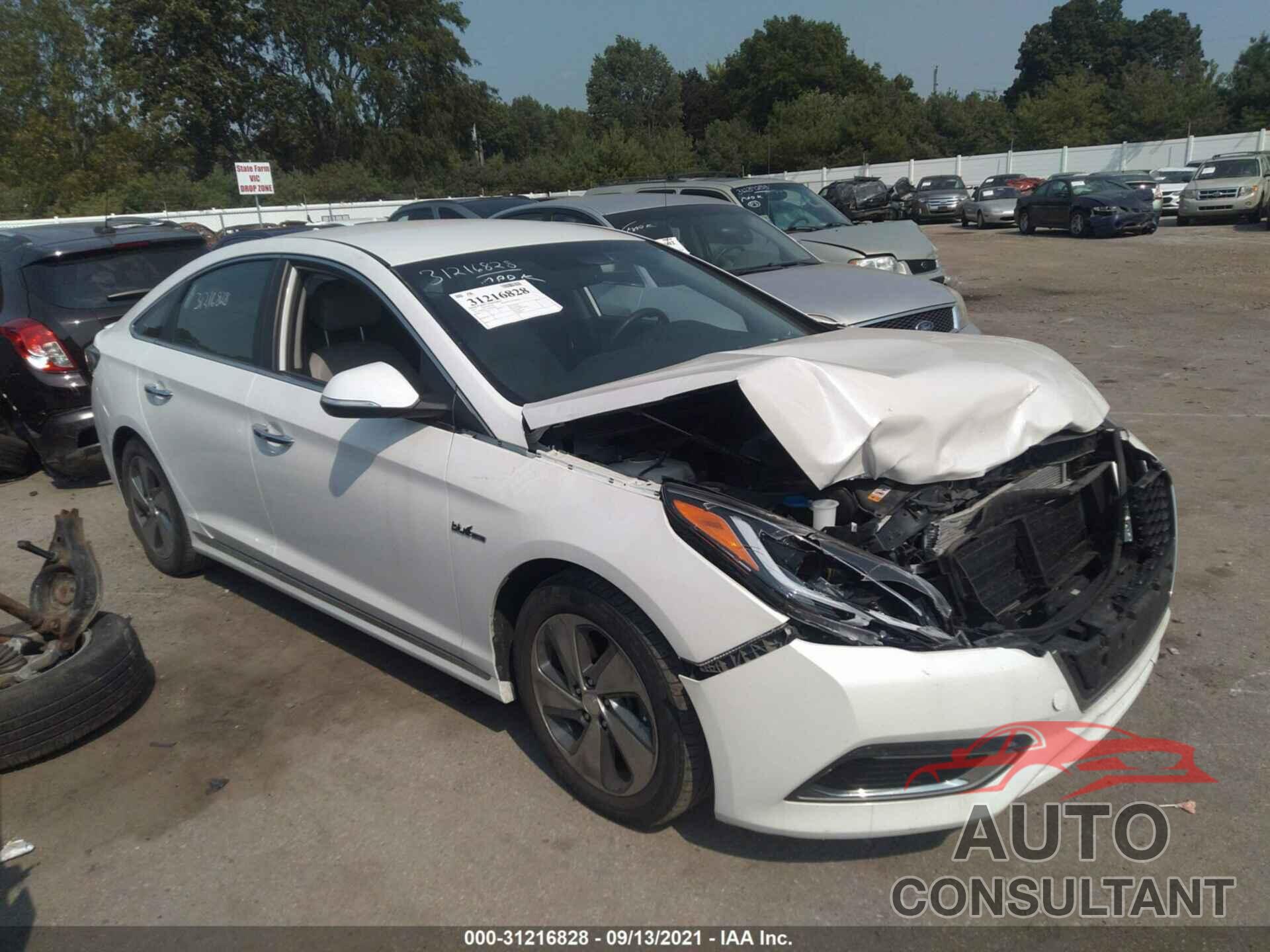 HYUNDAI SONATA HYBRID 2017 - KMHE34L11HA051646