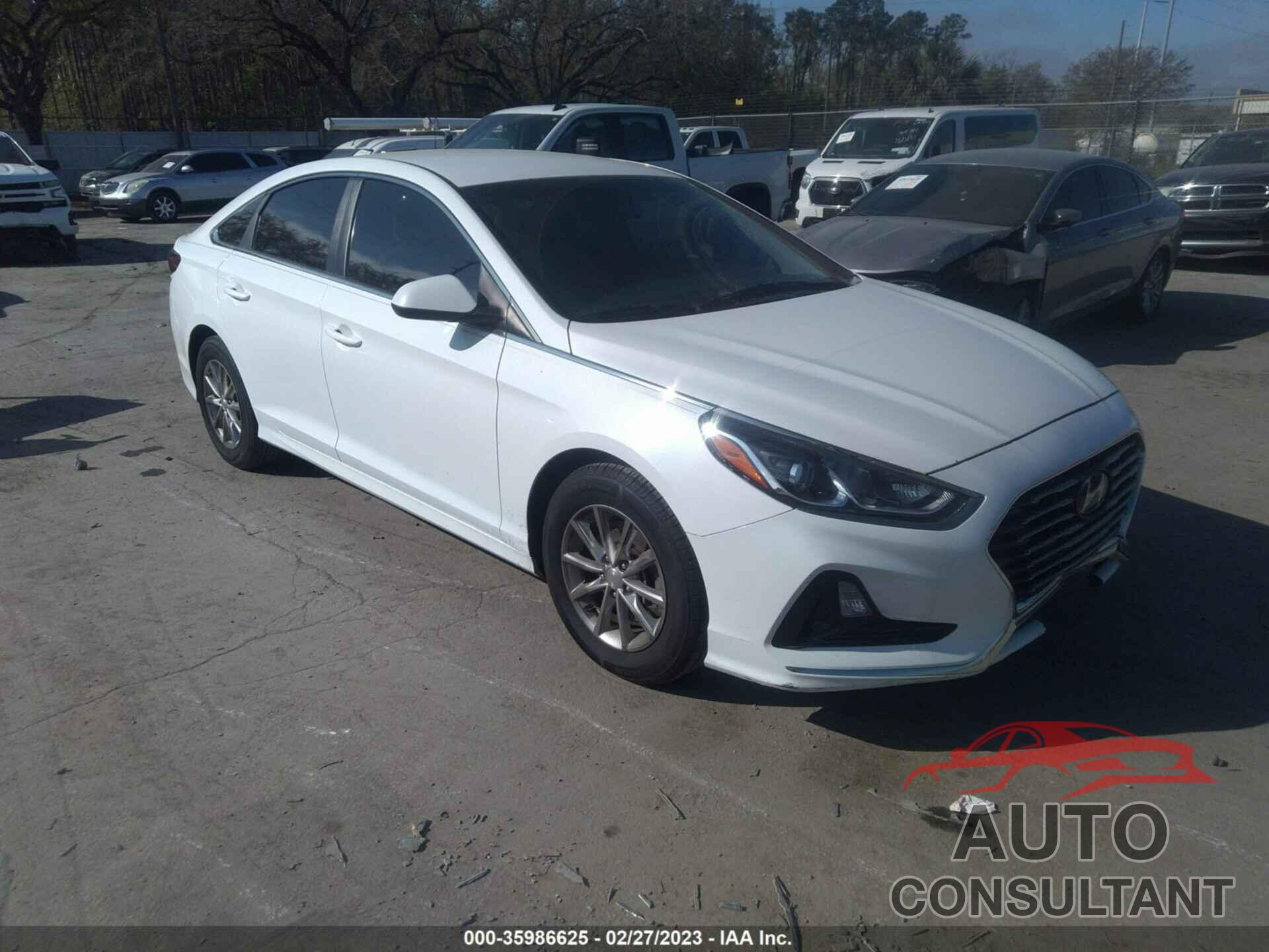 HYUNDAI SONATA 2019 - 5NPE24AF6KH788427