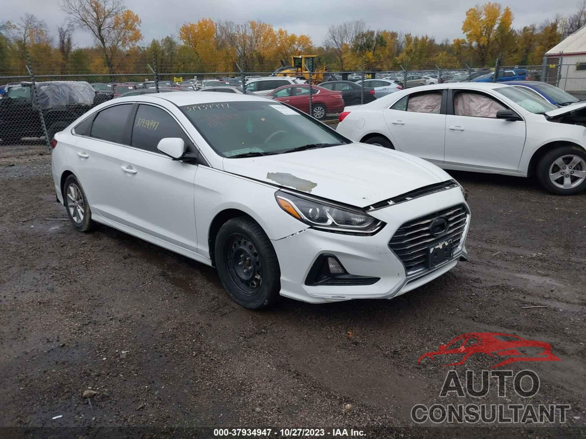 HYUNDAI SONATA 2018 - 5NPE24AF2JH719801