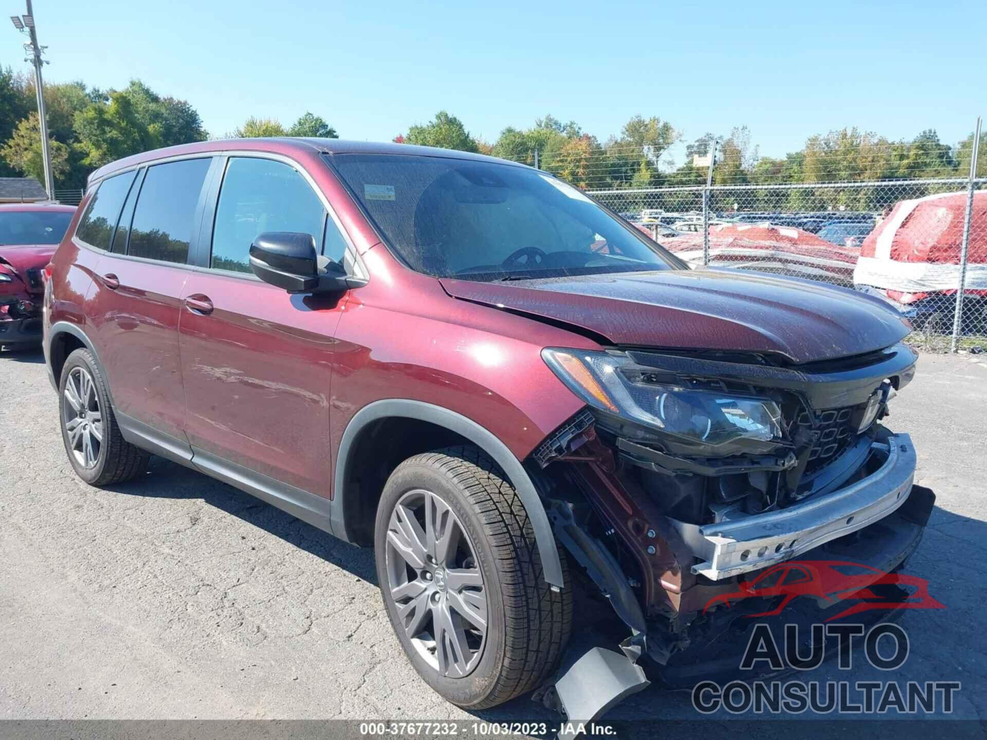 HONDA PASSPORT 2019 - 5FNYF8H59KB029453