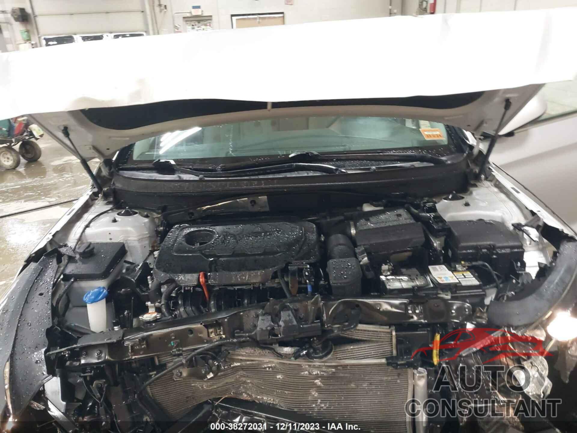 HYUNDAI SONATA 2019 - 5NPE24AF5KH731894