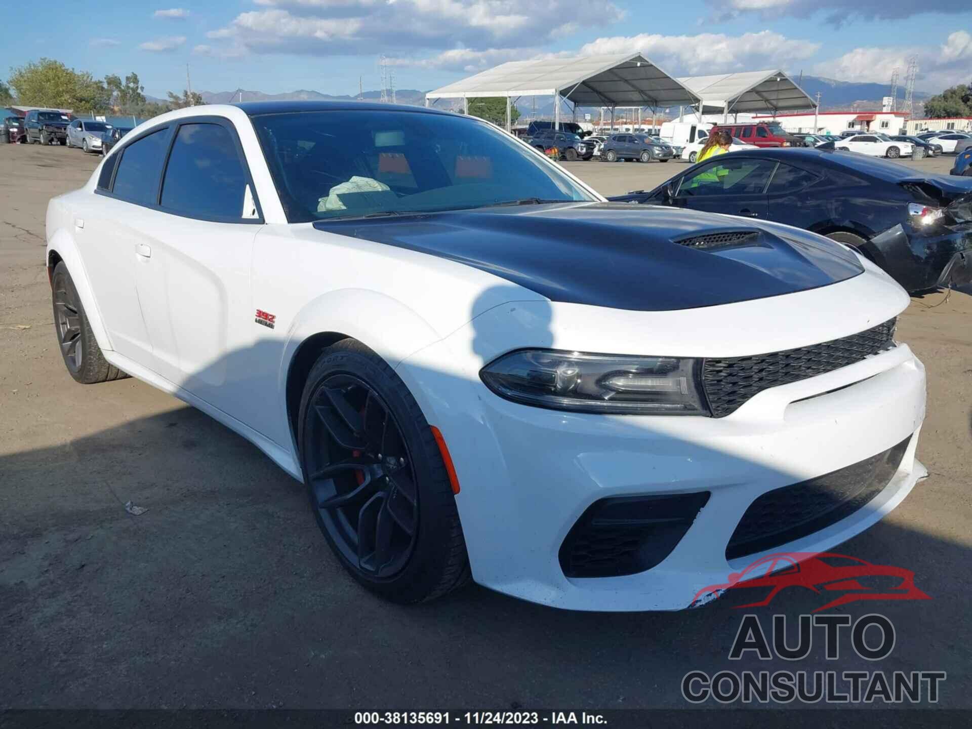 DODGE CHARGER 2021 - 2C3CDXGJ6MH530391