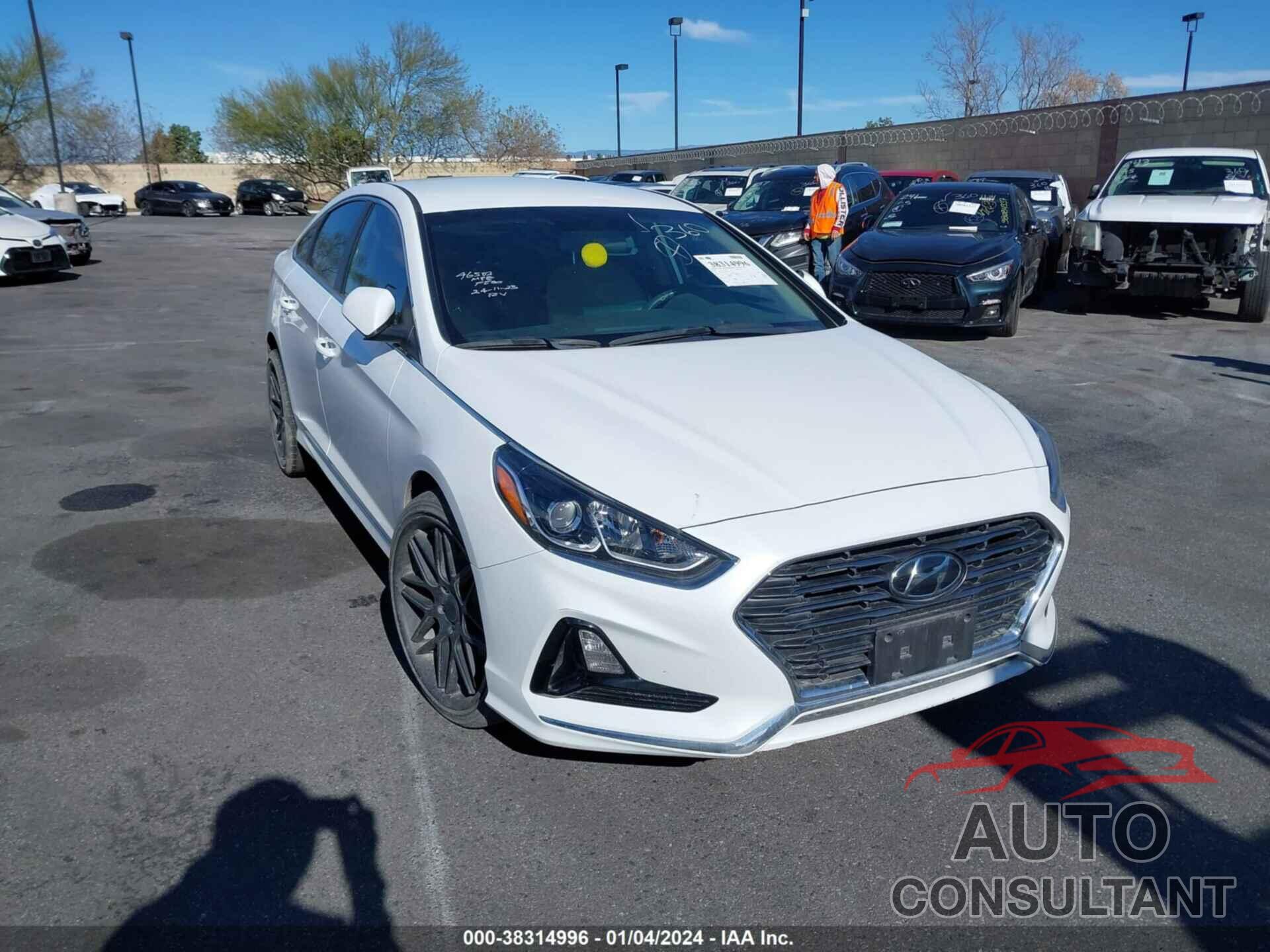 HYUNDAI SONATA 2019 - 5NPE24AF5KH804164