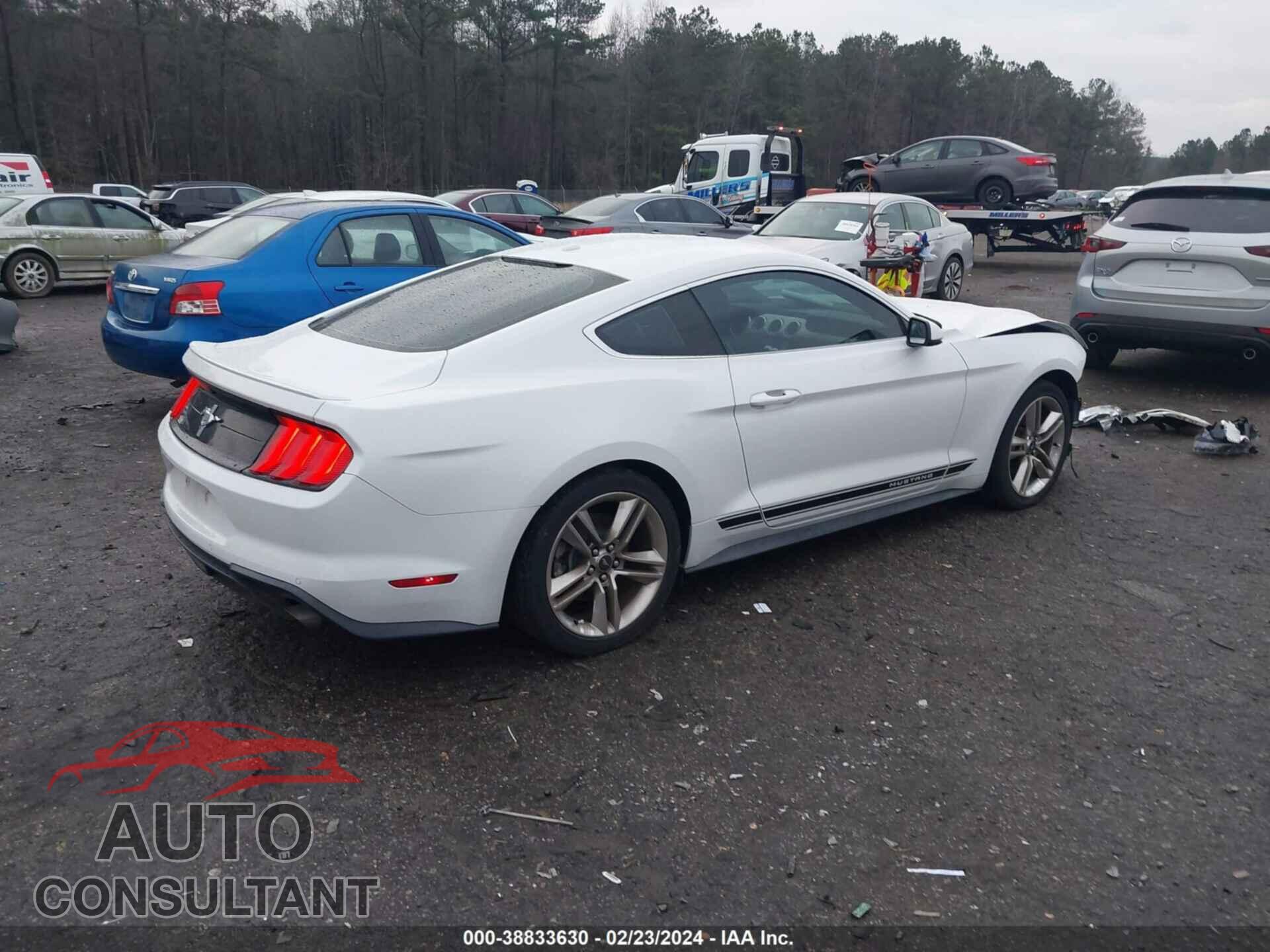 FORD MUSTANG 2019 - 1FA6P8TH3K5166319