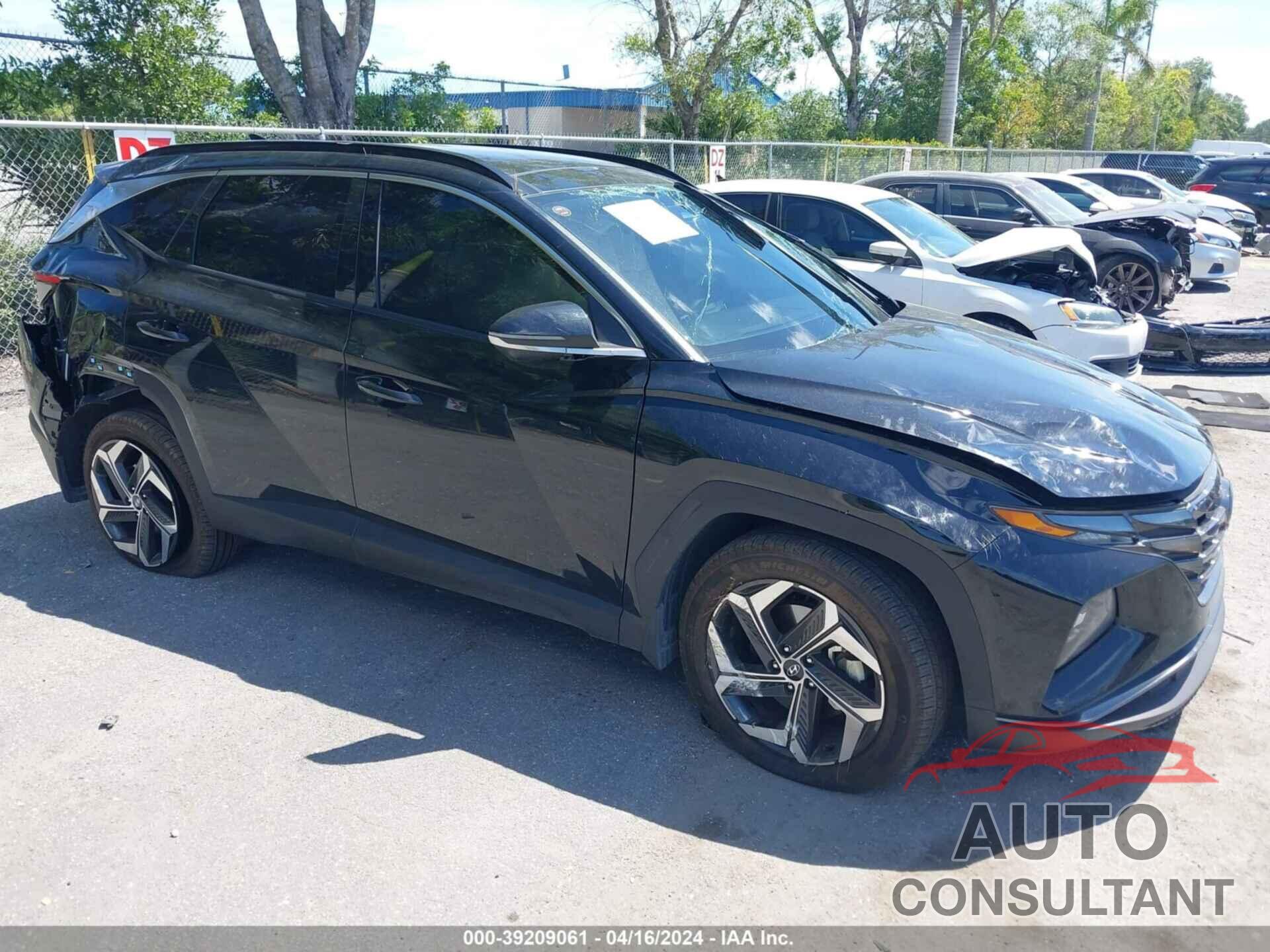 HYUNDAI TUCSON 2023 - 5NMJECAE1PH269412