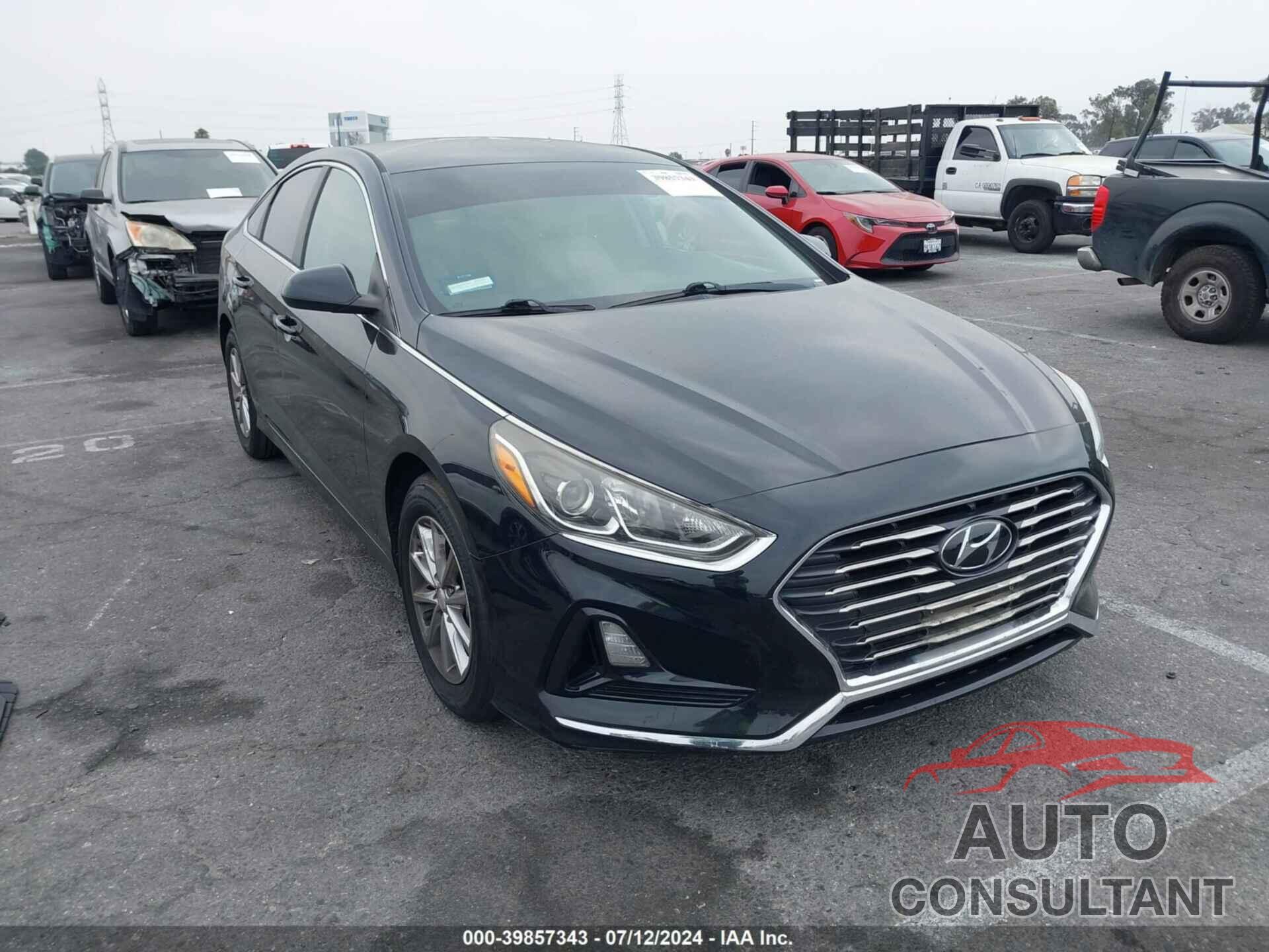 HYUNDAI SONATA 2019 - 5NPE24AFXKH742809