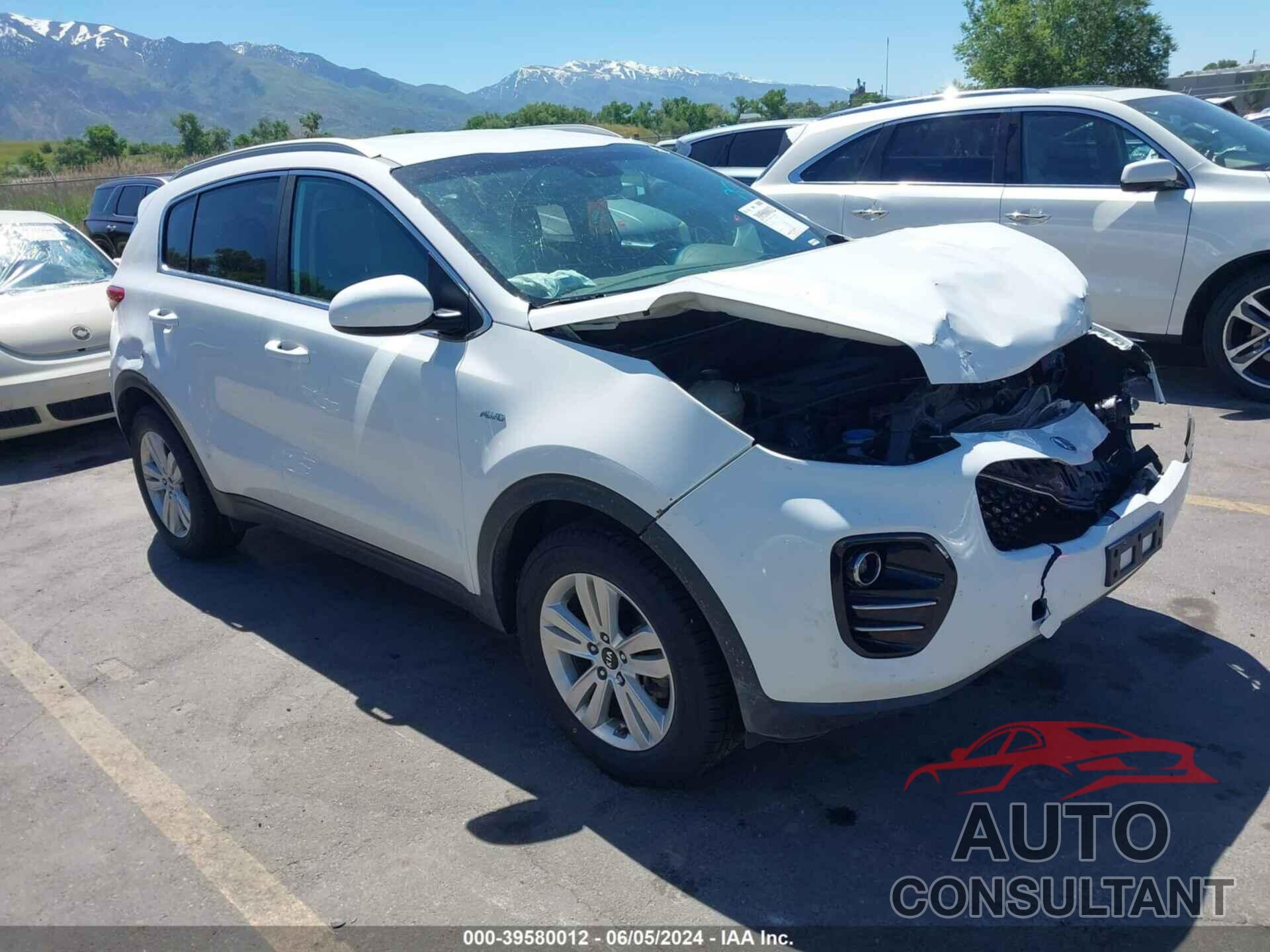 KIA SPORTAGE 2019 - KNDPMCAC8K7528506