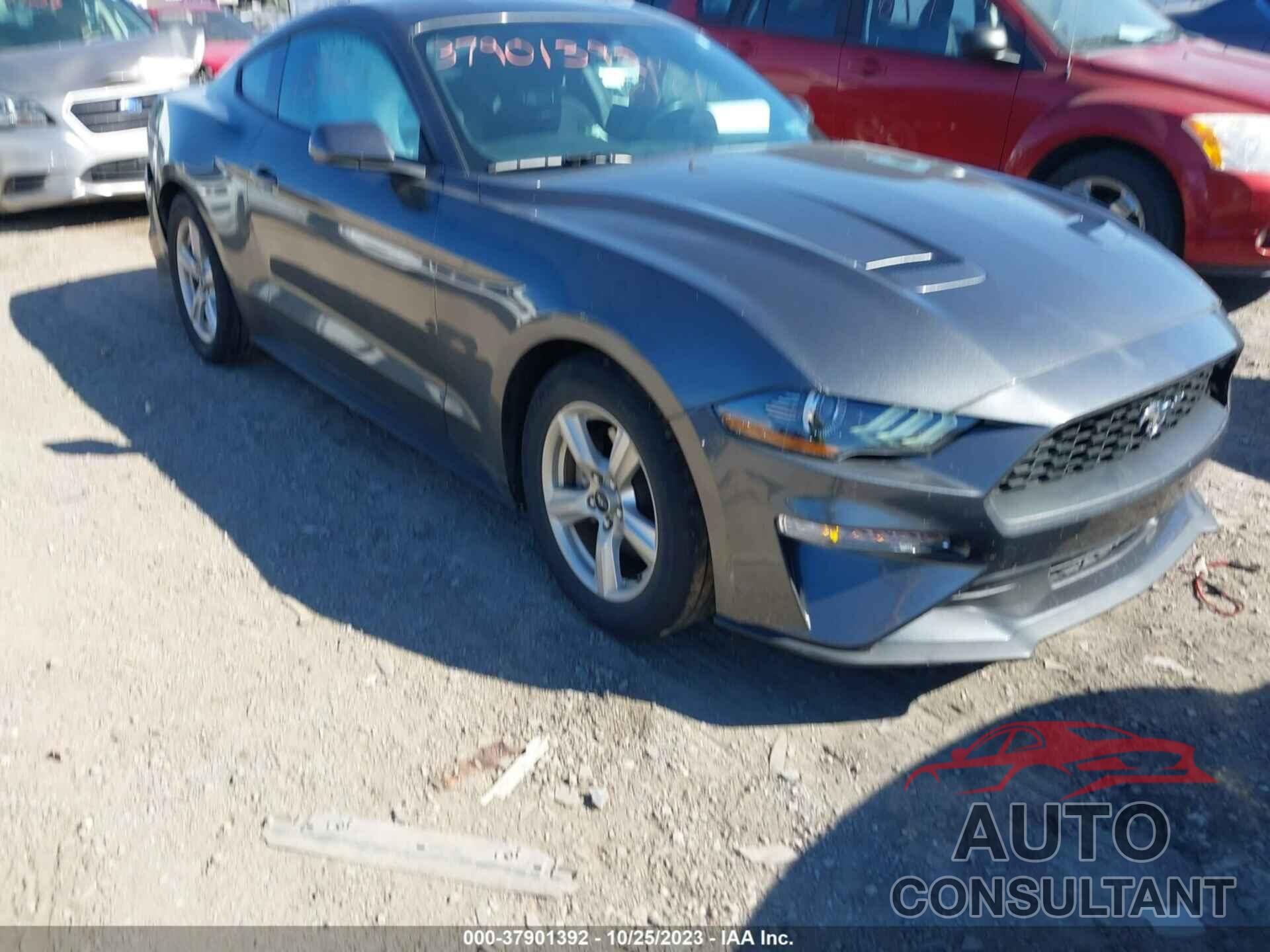 FORD MUSTANG 2019 - 1FA6P8TH4K5166085
