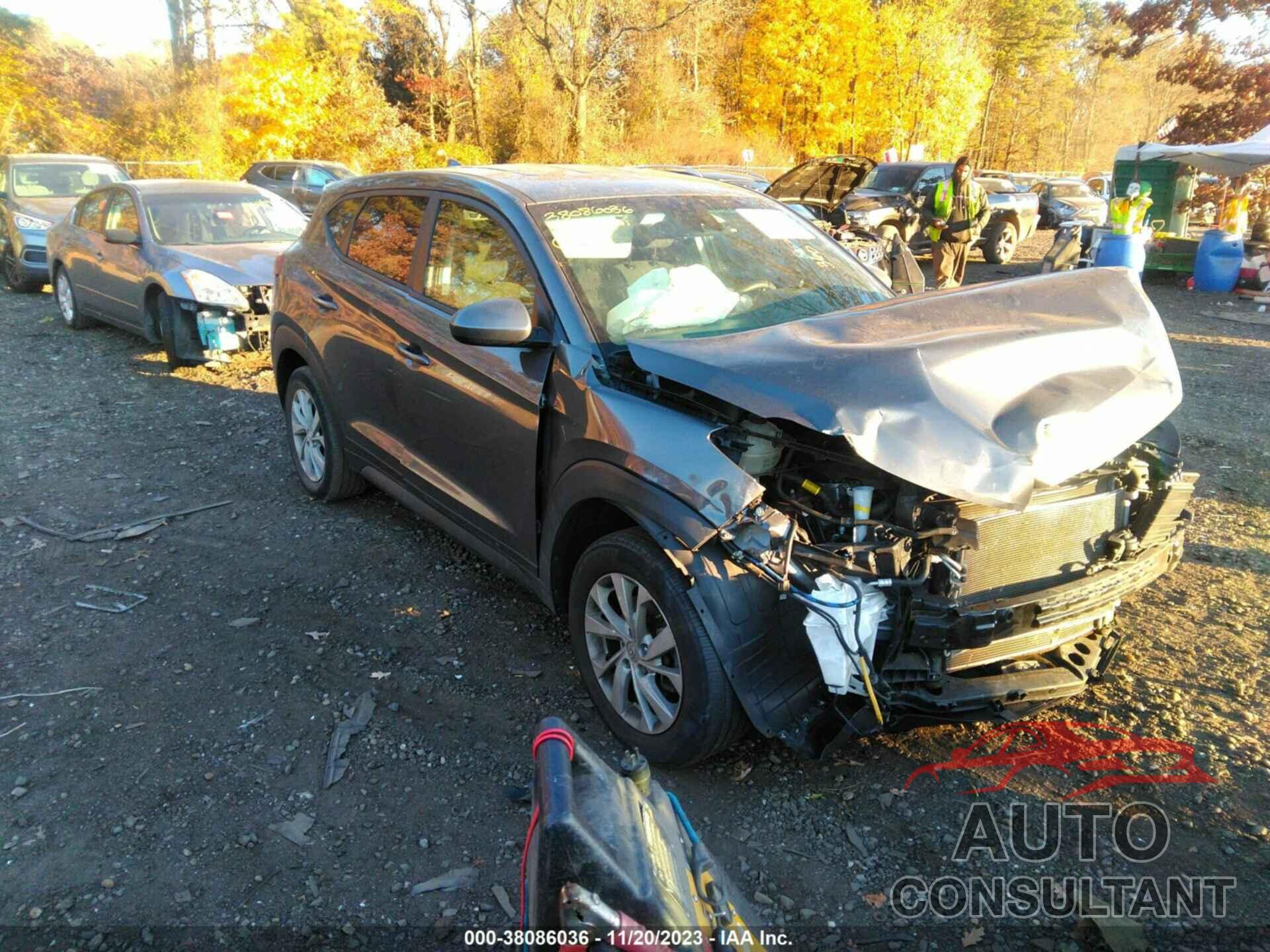 HYUNDAI TUCSON 2019 - KM8J2CA41KU992495