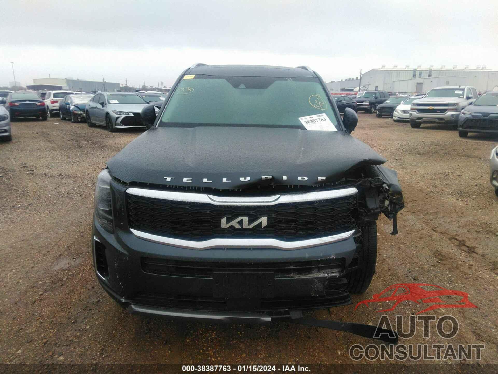 KIA TELLURIDE 2022 - 5XYP64HC8NG308019