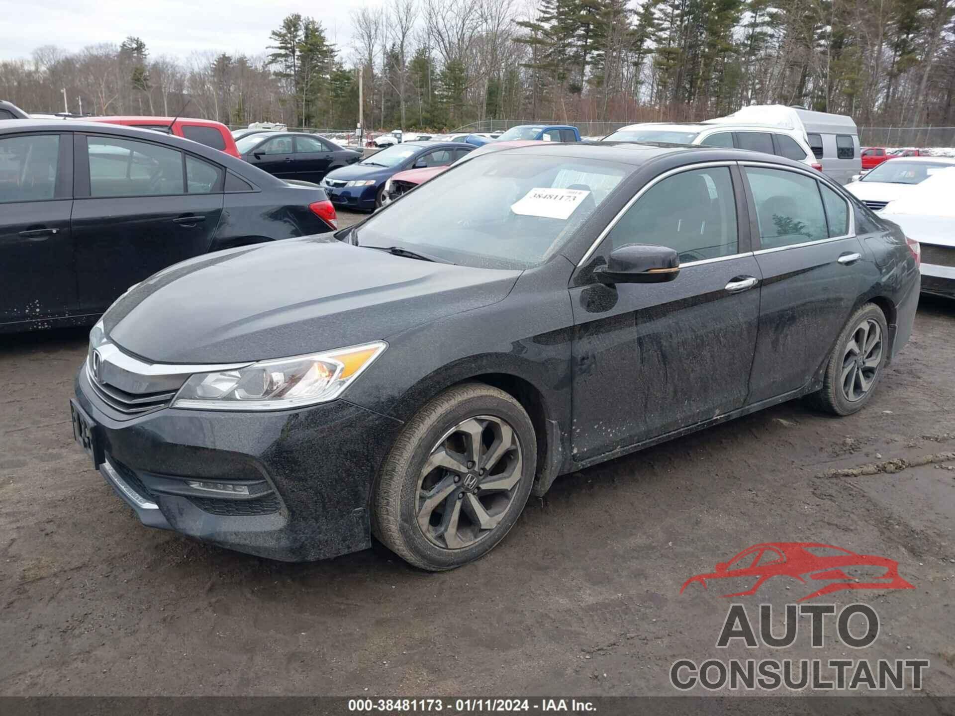 HONDA ACCORD 2016 - 1HGCR2F01GA029910