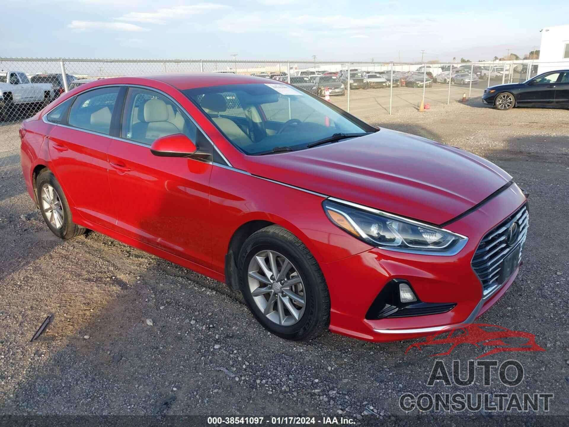 HYUNDAI SONATA 2019 - 5NPE24AF0KH738851