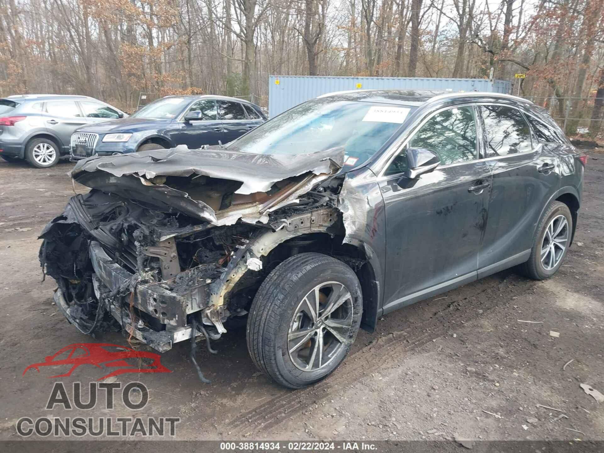 LEXUS RX 2024 - 2T2BBMCA9RC024083