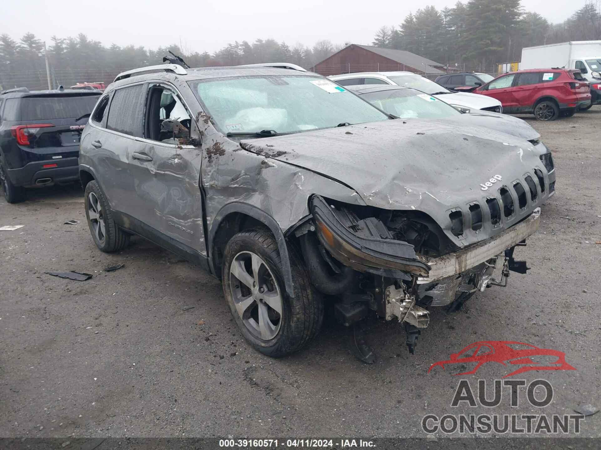 JEEP CHEROKEE 2019 - 1C4PJMDX8KD409448