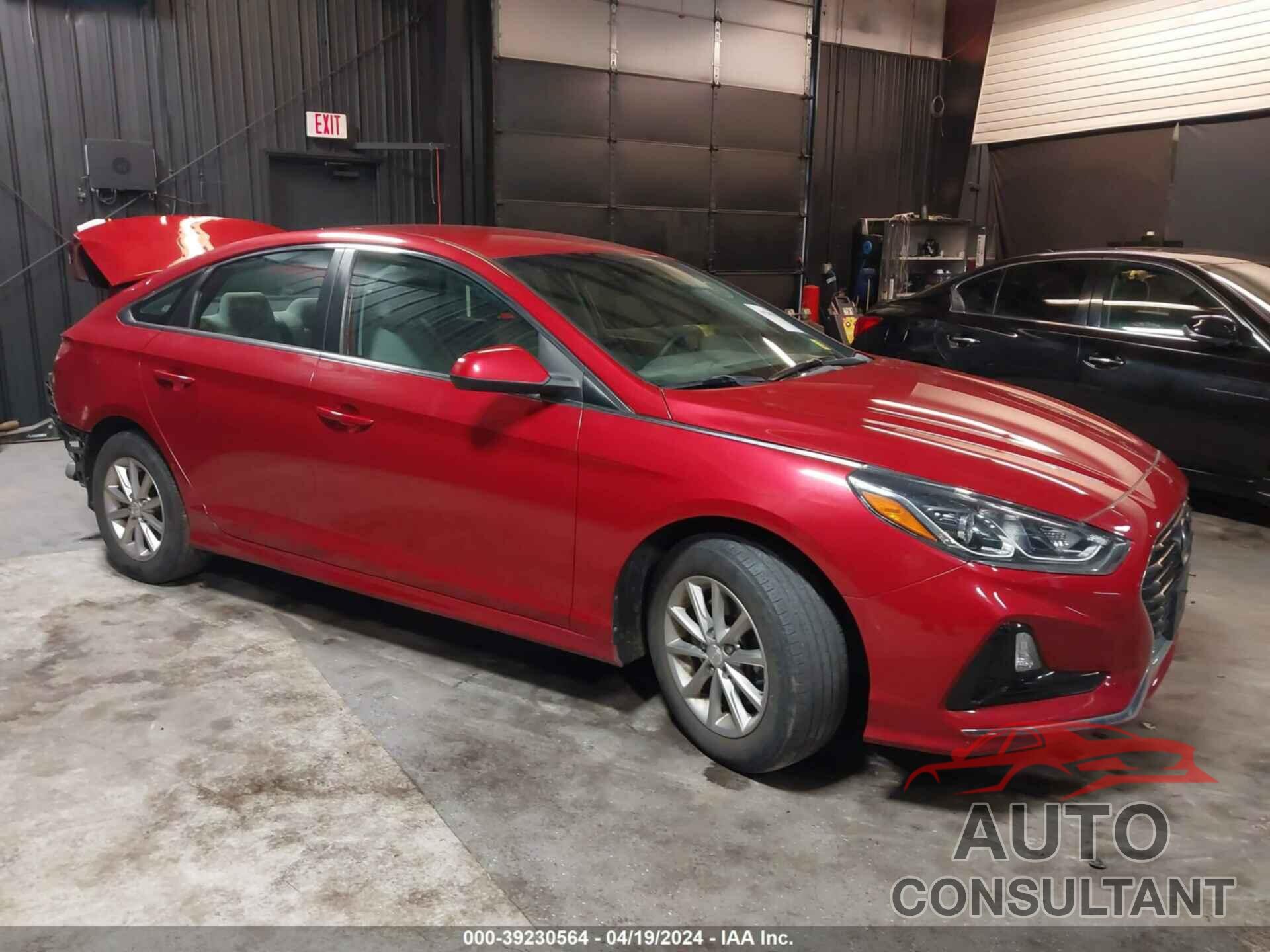 HYUNDAI SONATA 2019 - 5NPE24AF4KH778415