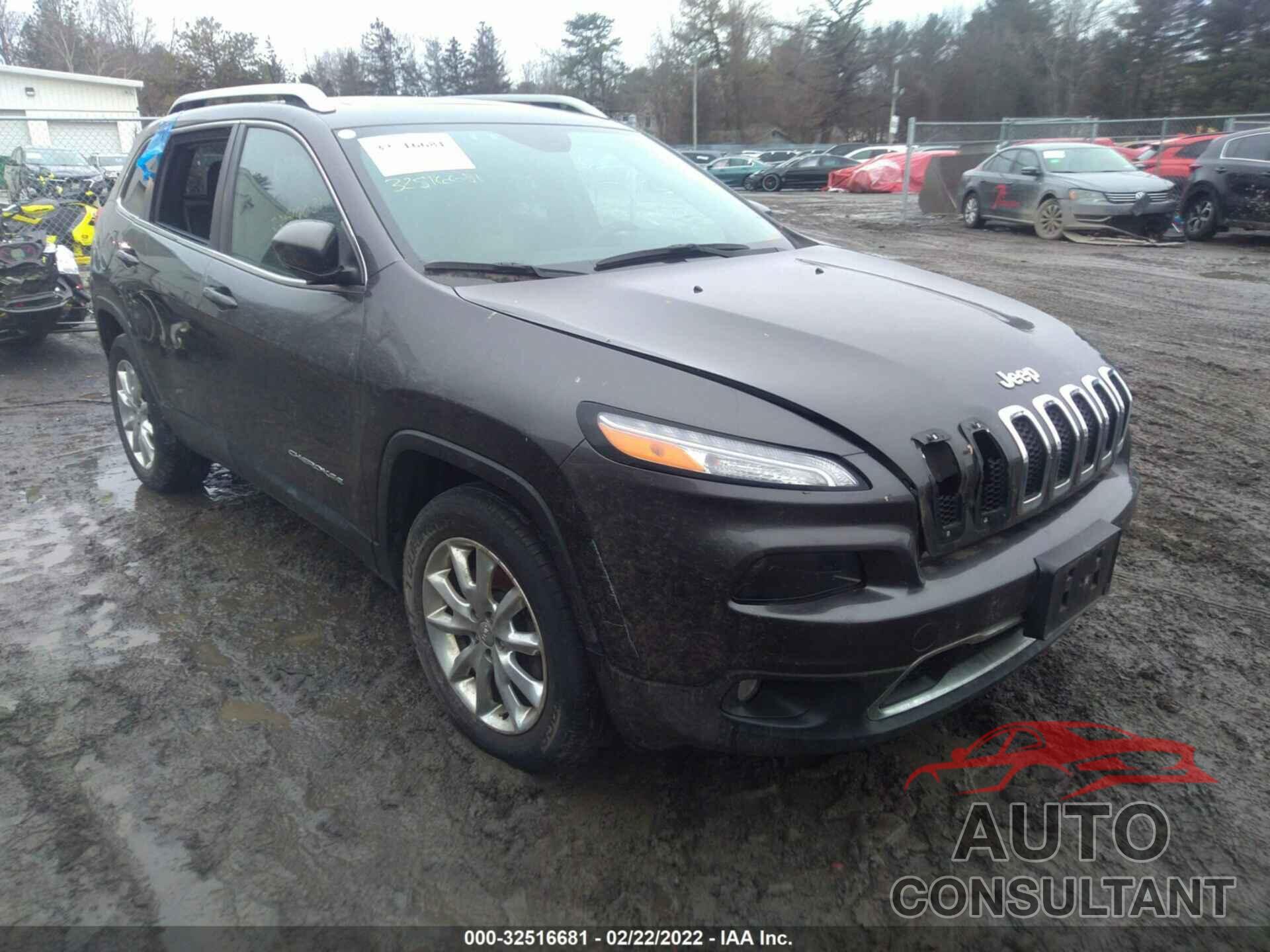 JEEP CHEROKEE 2014 - 1C4PJMDS9EW196989