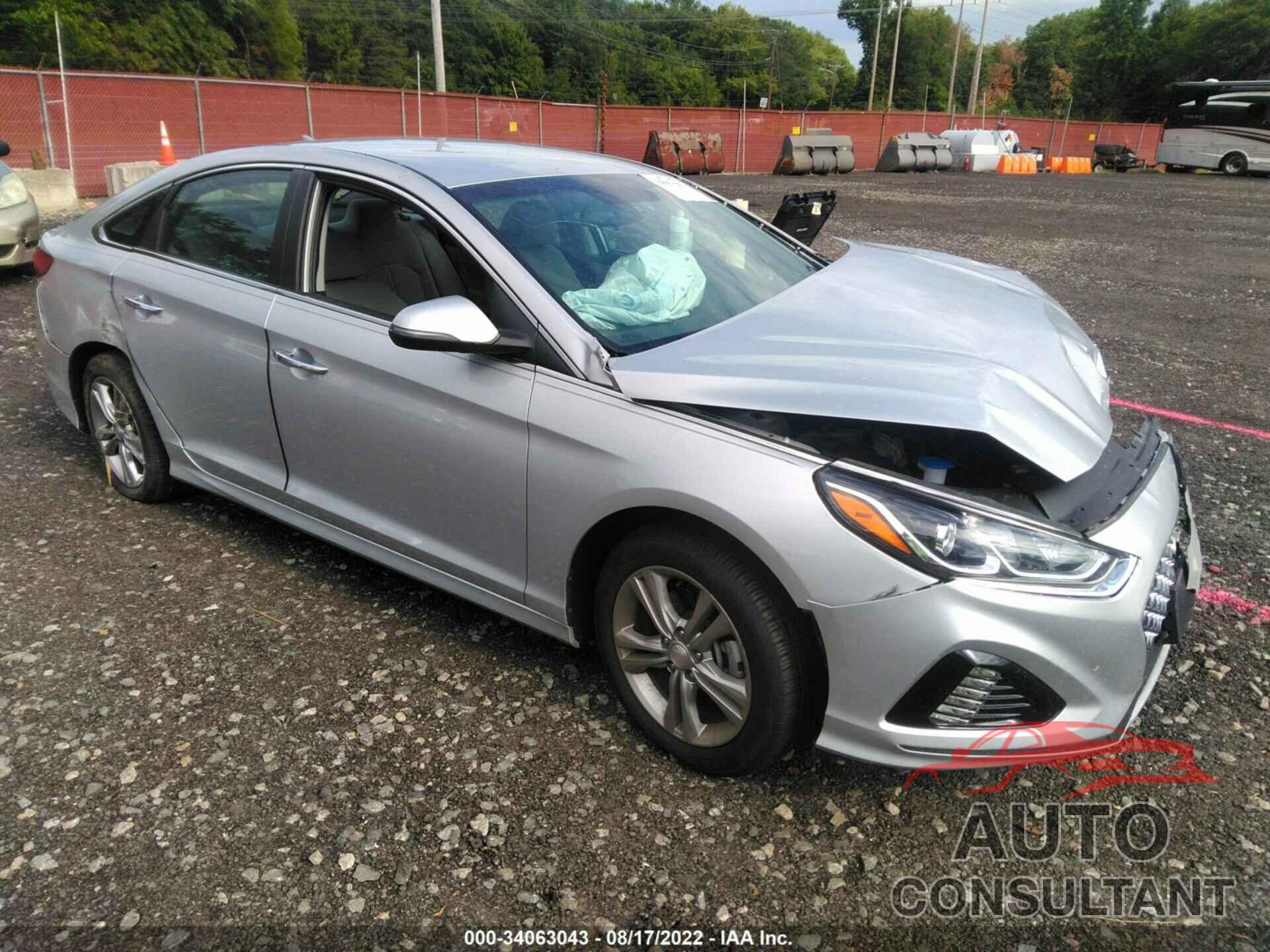 HYUNDAI SONATA 2019 - 5NPE34AF2KH741585