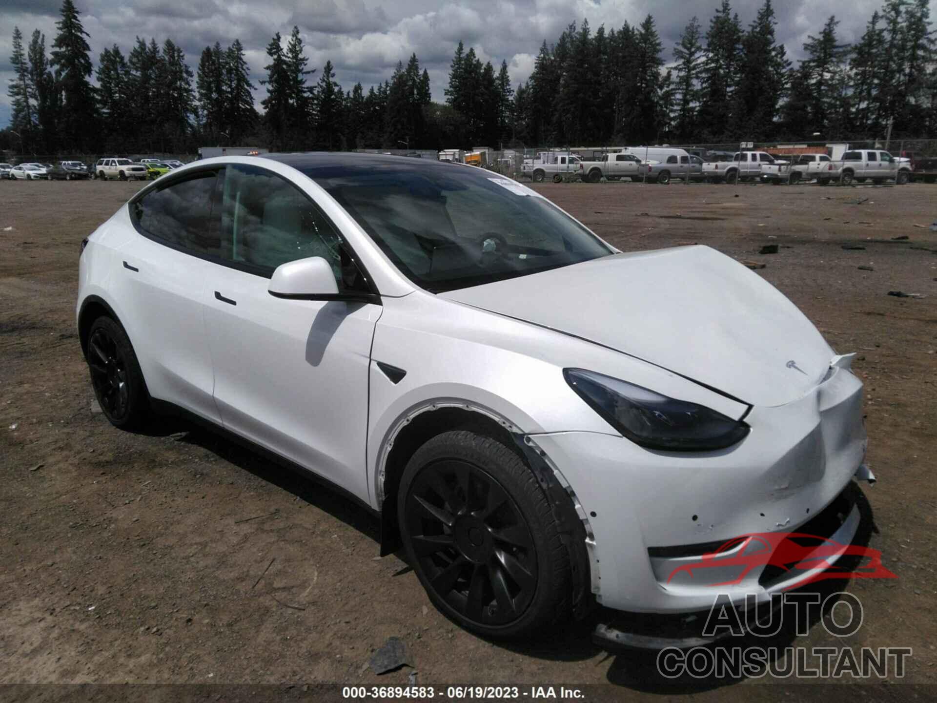 TESLA MODEL Y 2022 - 7SAYGDEE4NF550405