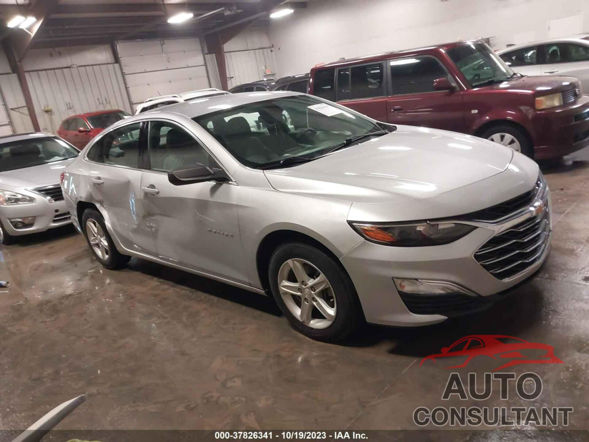 CHEVROLET MALIBU 2019 - 1G1ZC5ST7KF214589