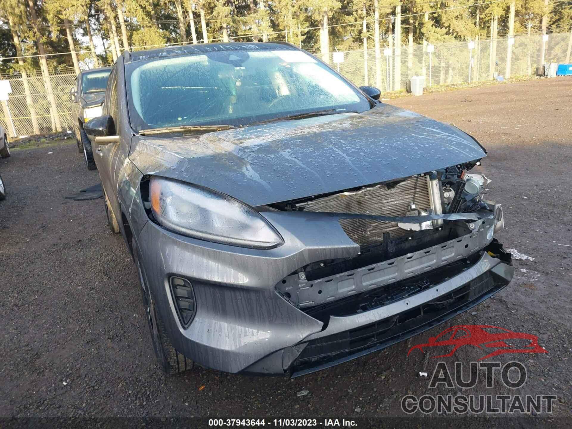 FORD ESCAPE 2022 - 1FMCU9G69NUB15448