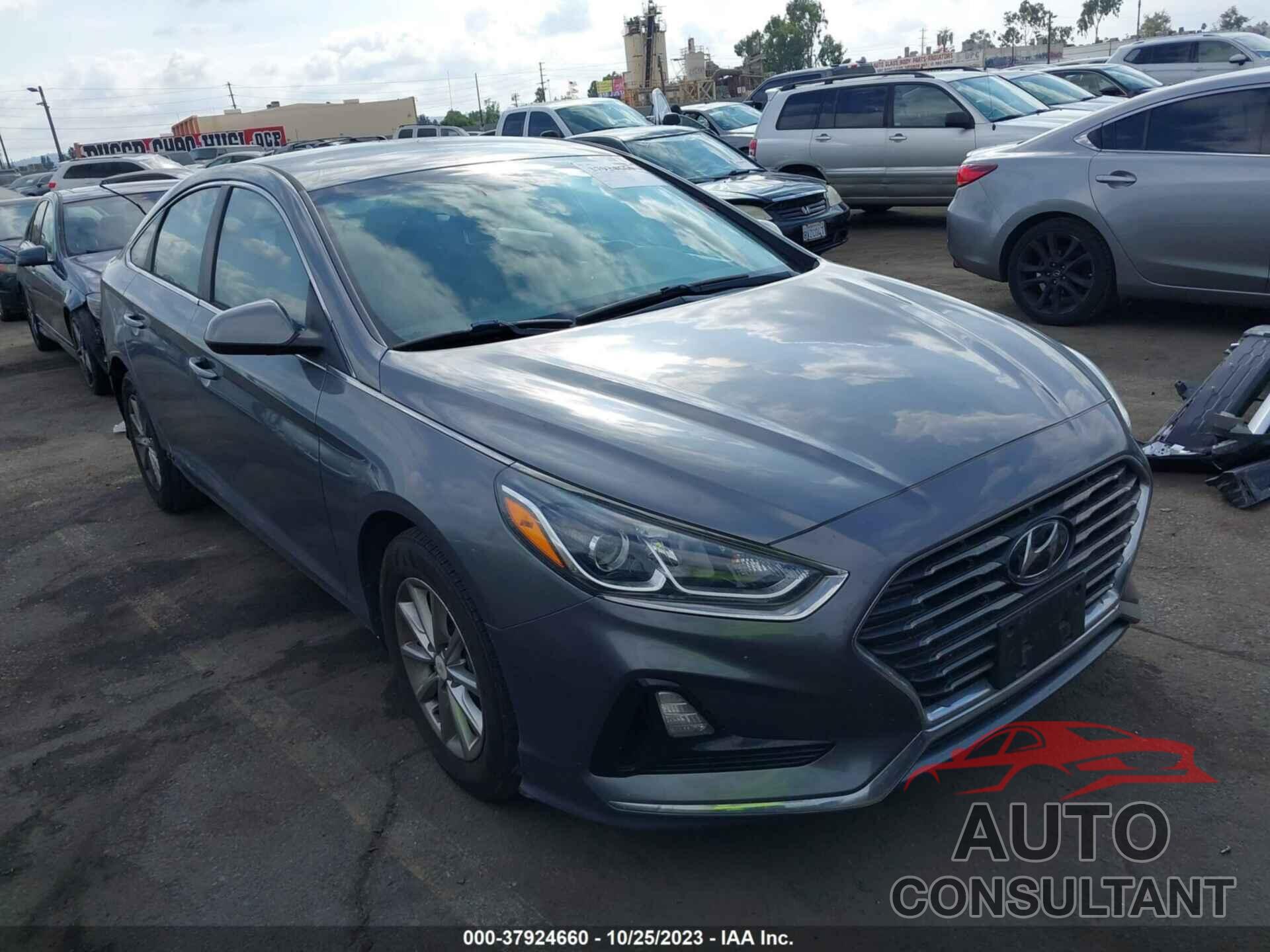 HYUNDAI SONATA 2018 - 5NPE24AF6JH718845