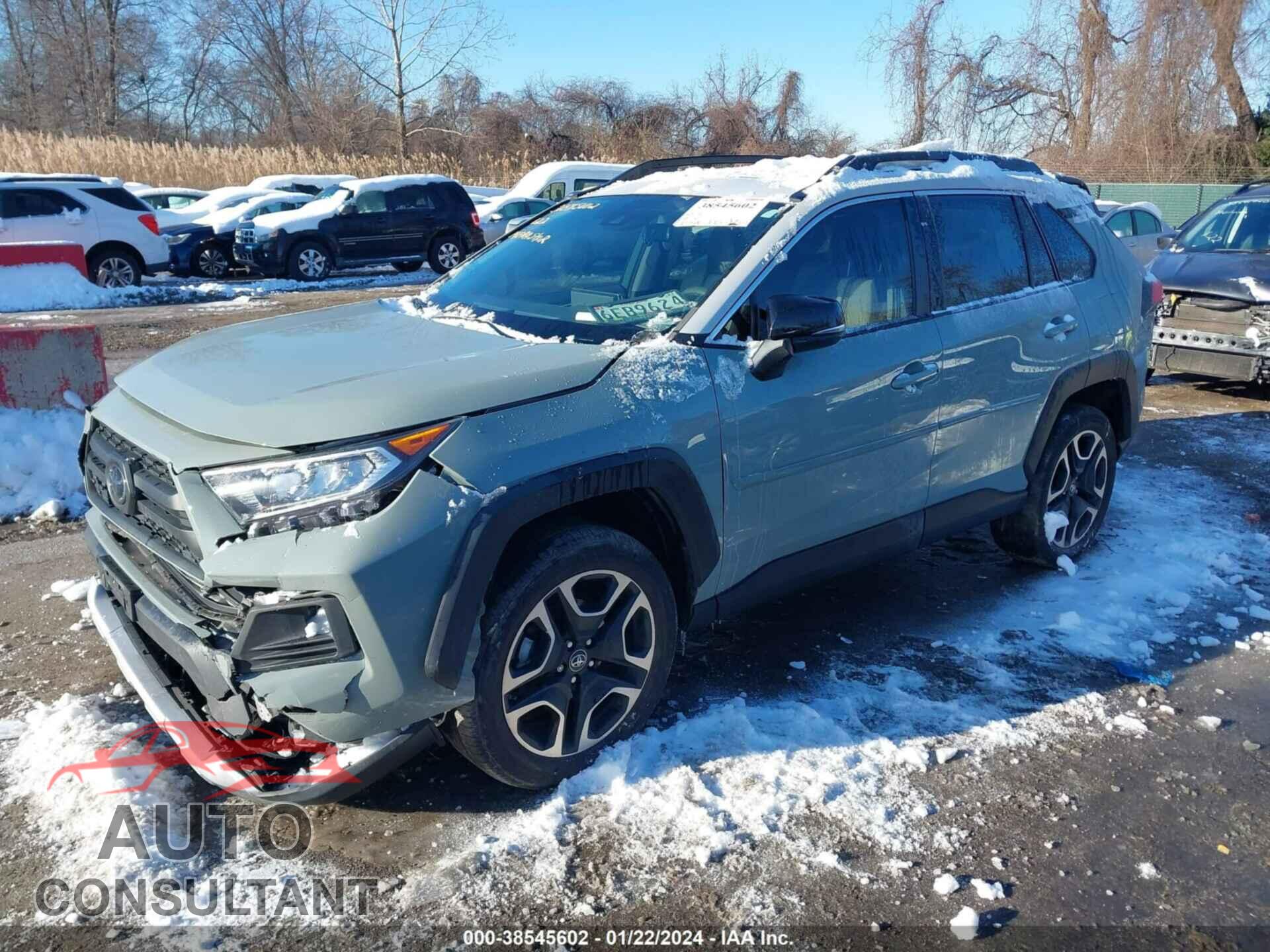 TOYOTA RAV4 2019 - 2T3J1RFV4KC027128