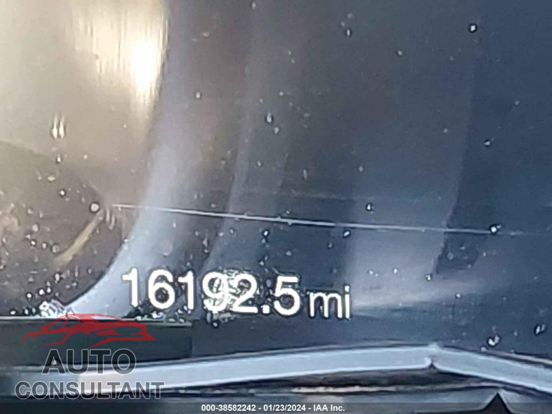 FORD MUSTANG 2019 - 1FA6P8K04K5501292