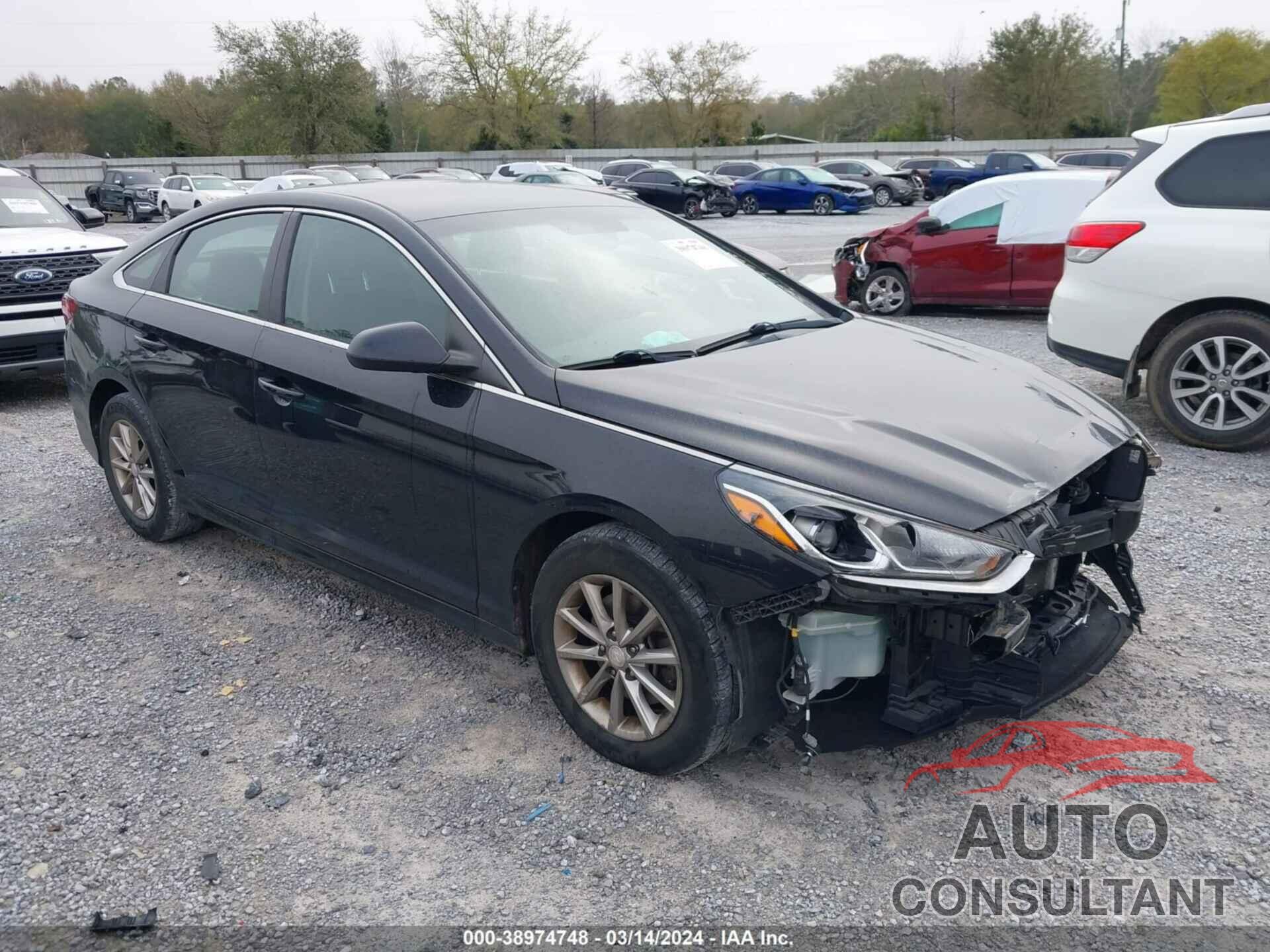 HYUNDAI SONATA 2019 - 5NPE24AF6KH744170