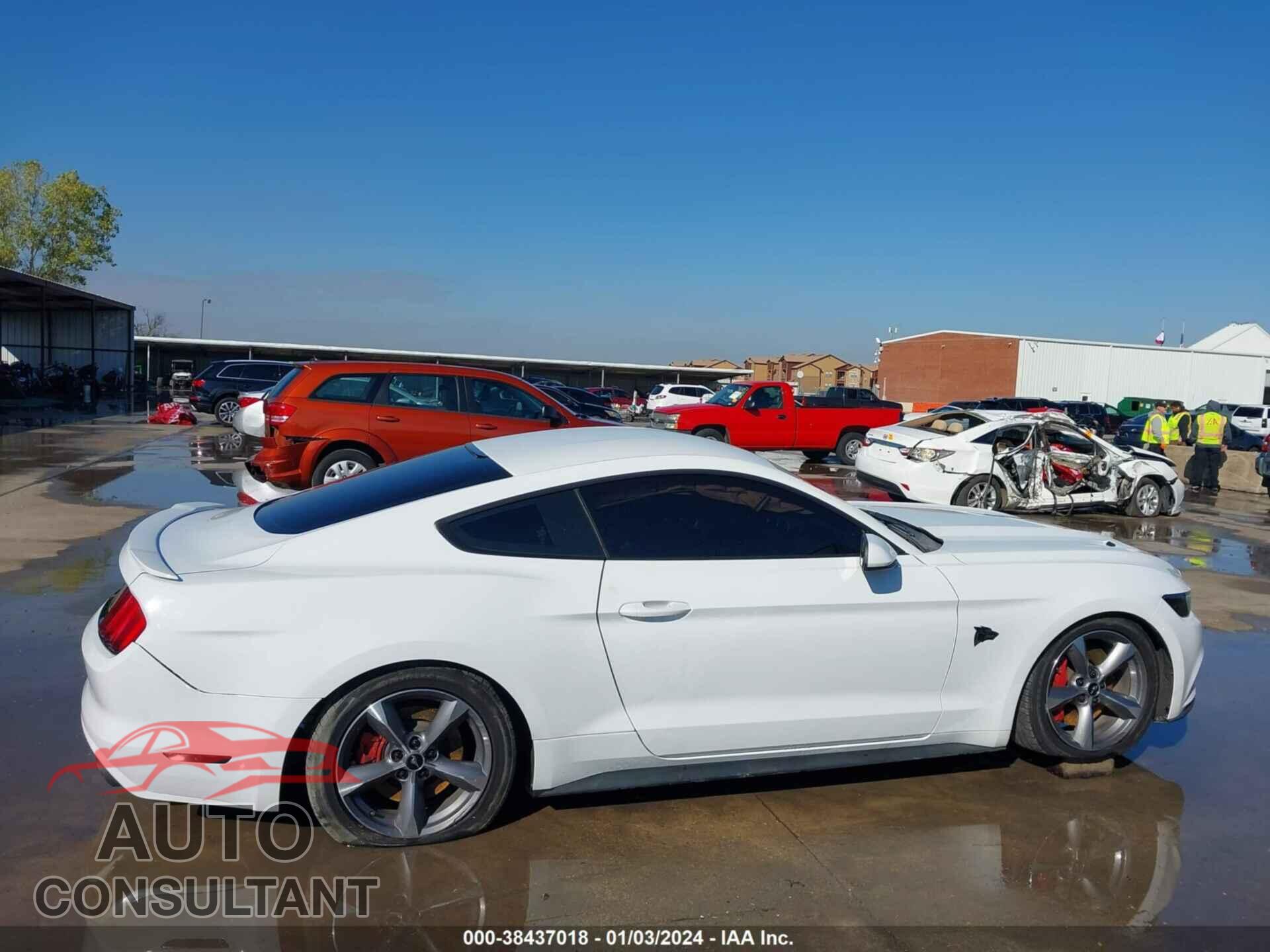 FORD MUSTANG 2017 - 1FA6P8CF2H5339934