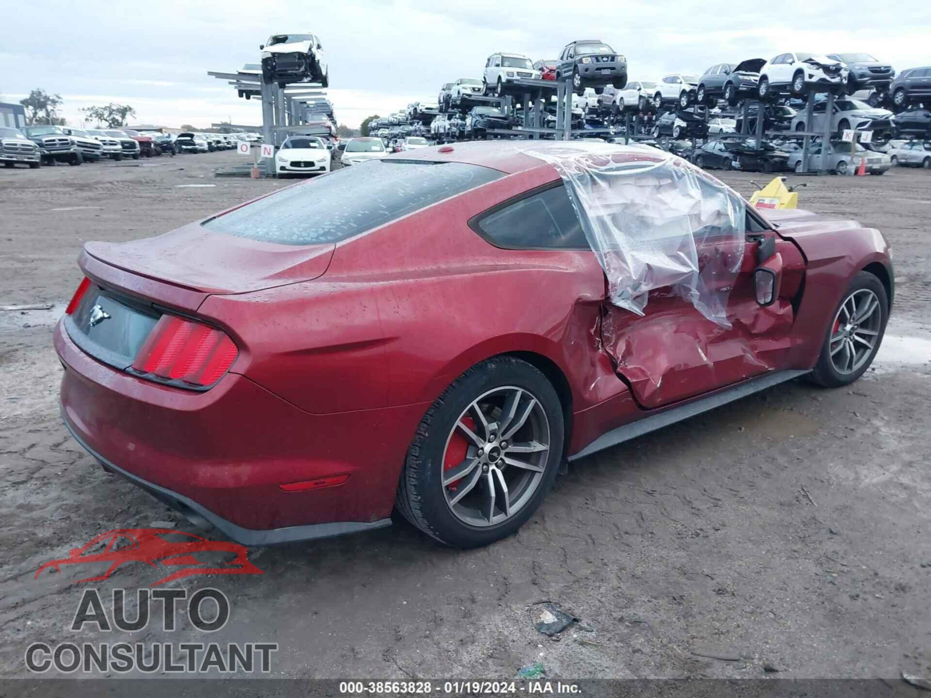 FORD MUSTANG 2016 - 1FA6P8TH0G5275456
