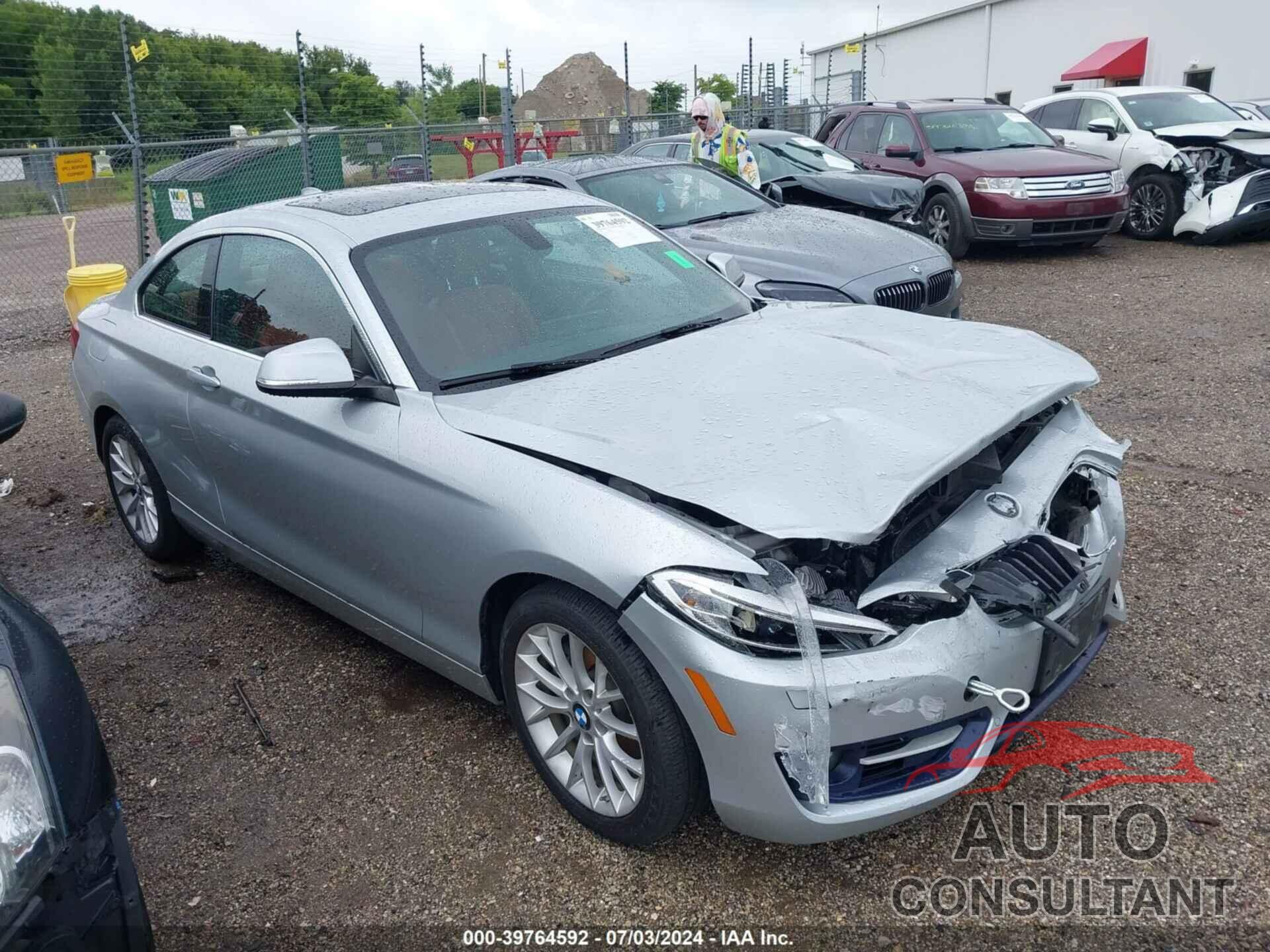 BMW 228I 2016 - WBA1G9C56GVX97053