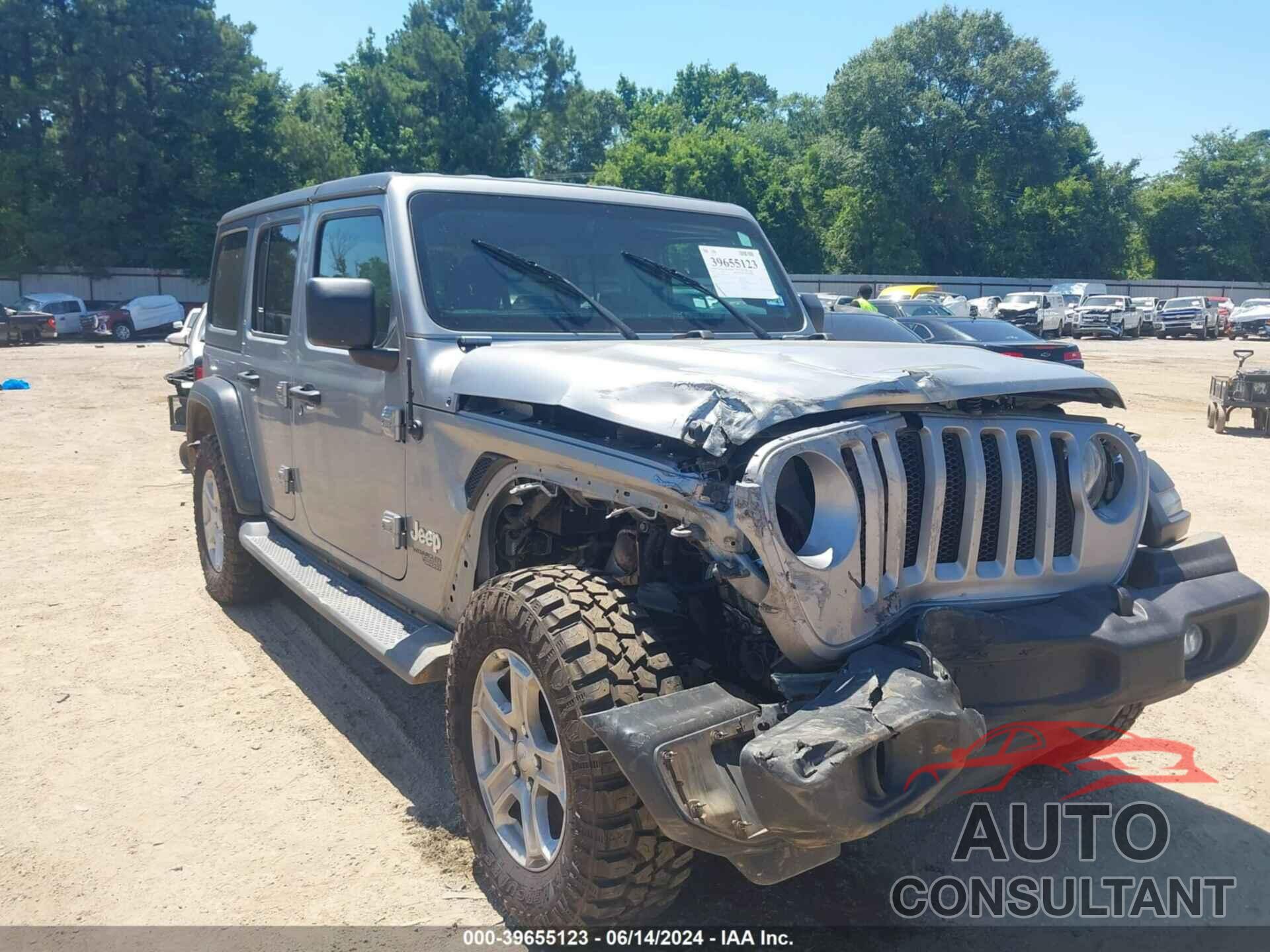 JEEP WRANGLER UNLIMITED 2019 - 1C4HJXDG0KW528010