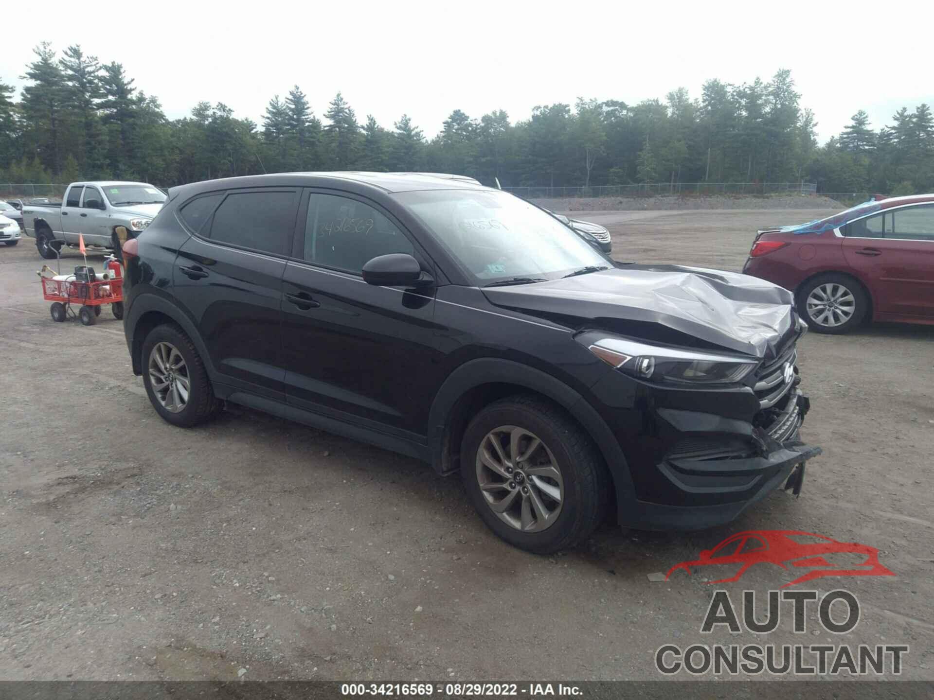 HYUNDAI TUCSON 2017 - KM8J23A46HU336494