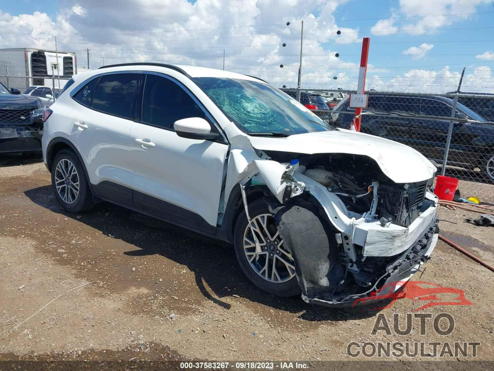 FORD ESCAPE 2020 - 1FMCU0H61LUC32030