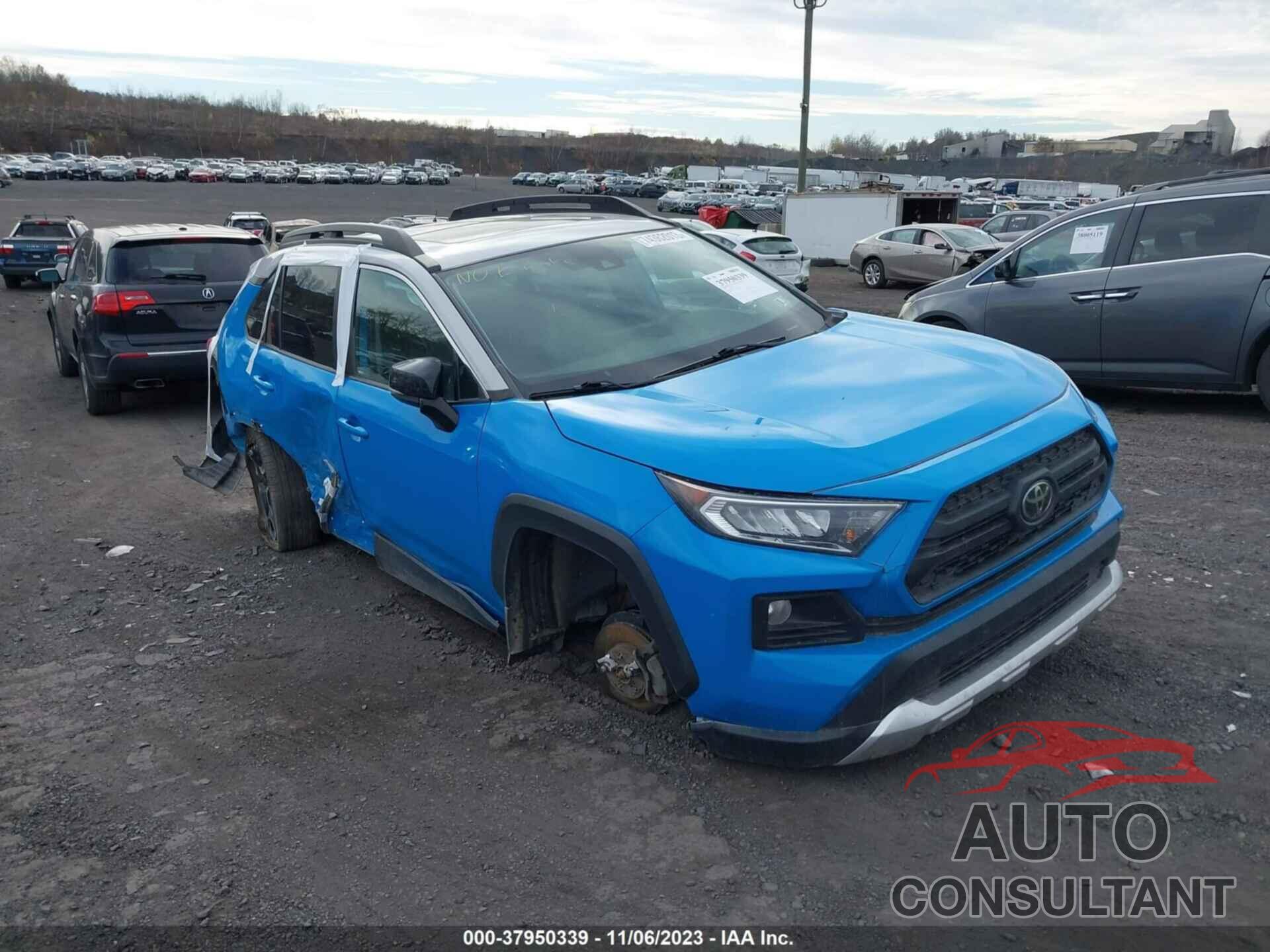 TOYOTA RAV4 2019 - 2T3J1RFV5KW051856