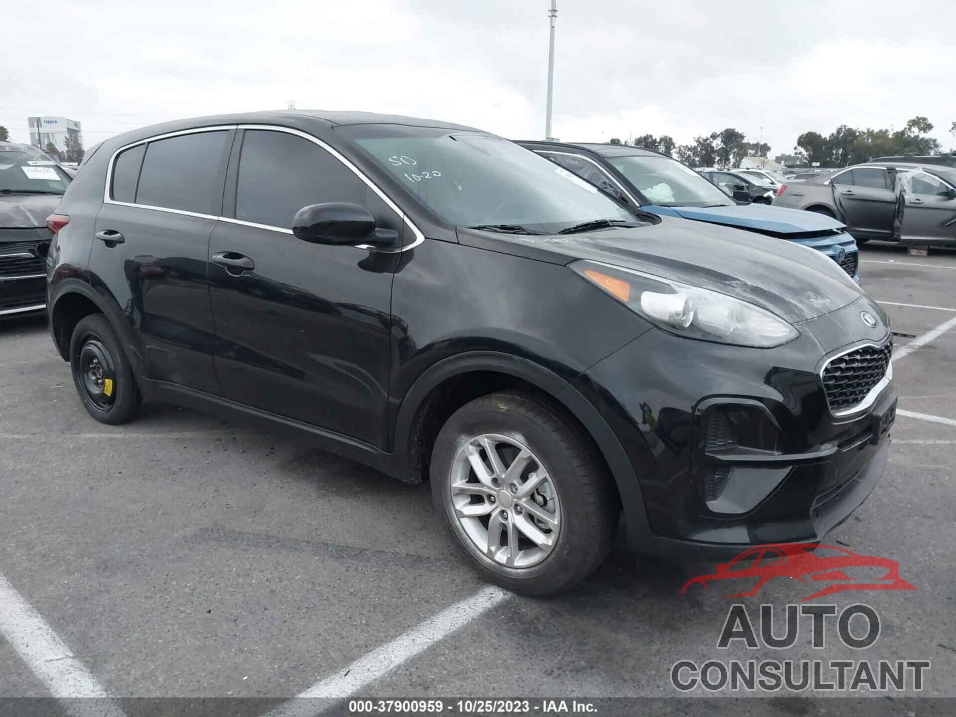 KIA SPORTAGE 2022 - KNDPM3AC2N7978768