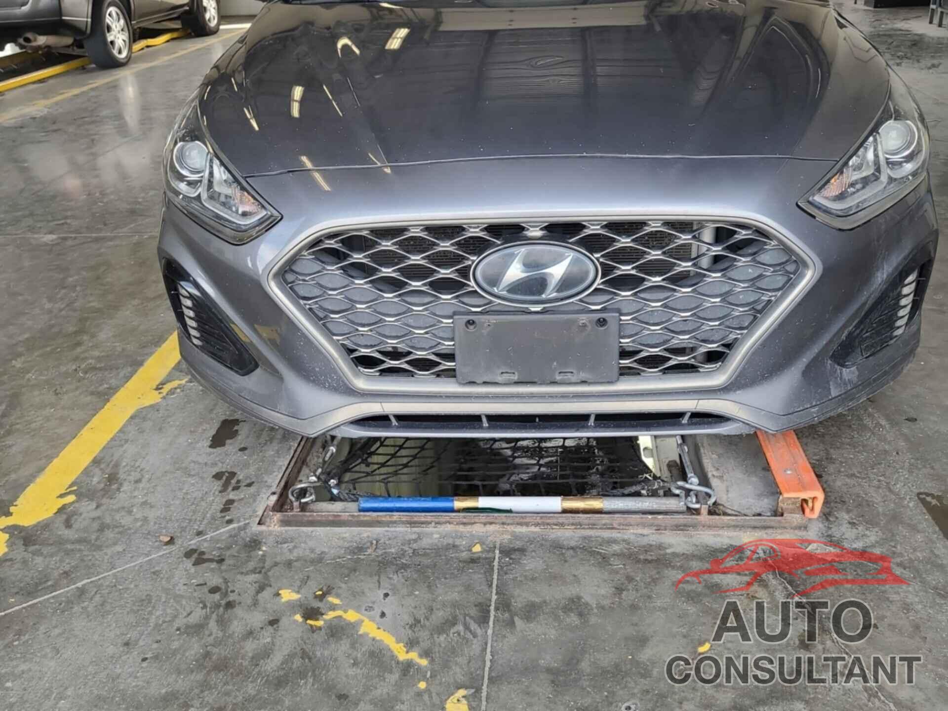 HYUNDAI SONATA 2019 - 5NPE34AF1KH762783