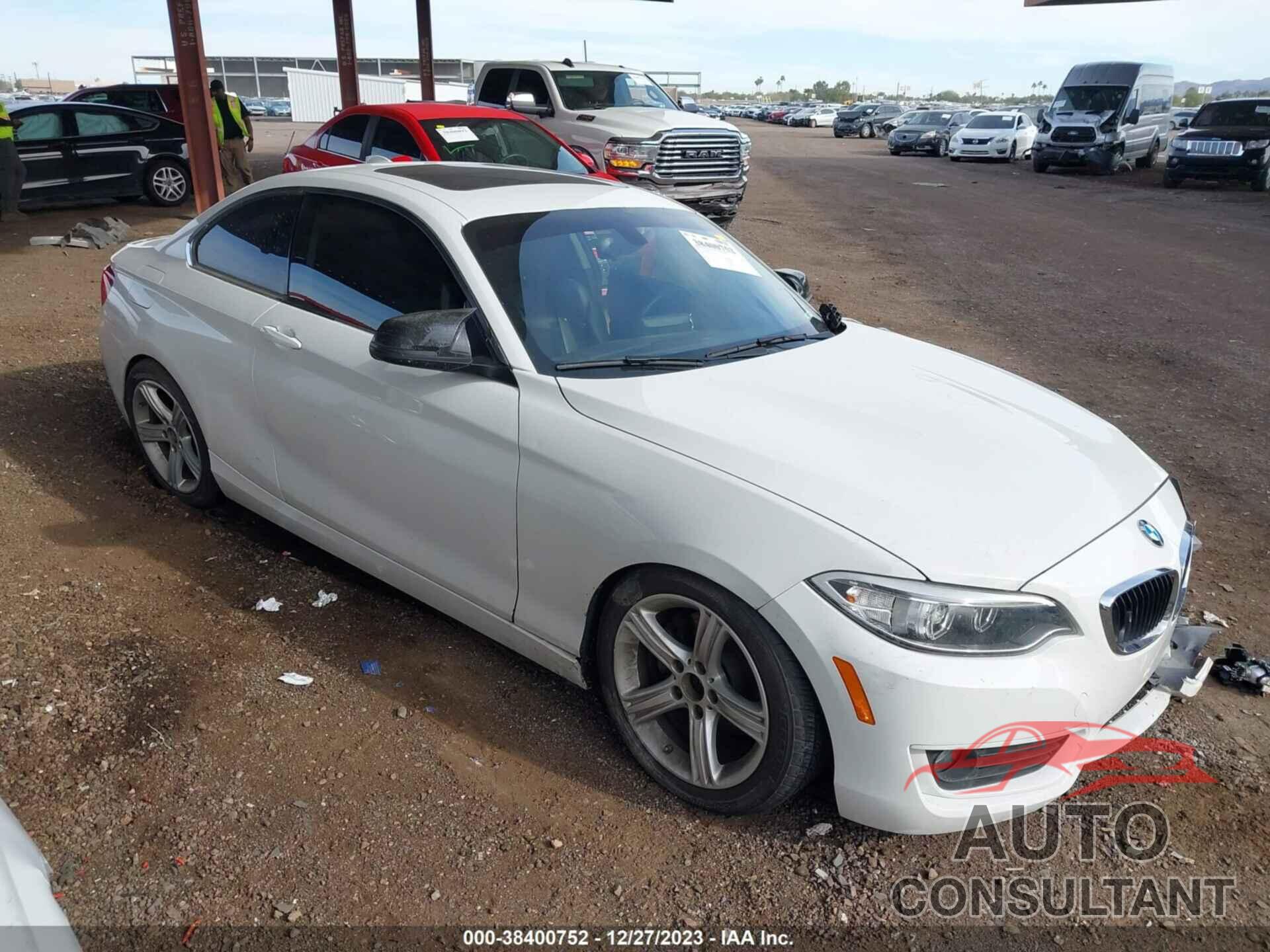 BMW 228I 2015 - WBA1F5C58FV257438