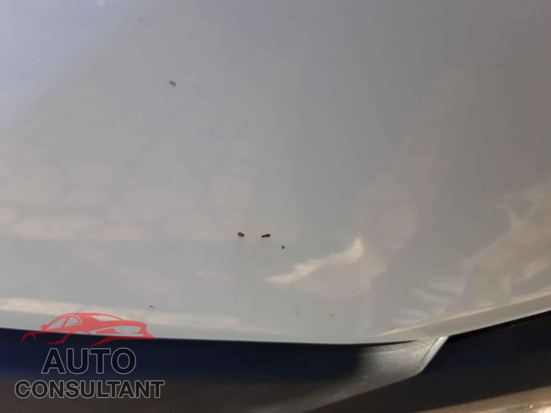 FORD TRANSIT-250 2016 - 1FTYR2CM4GKA95809