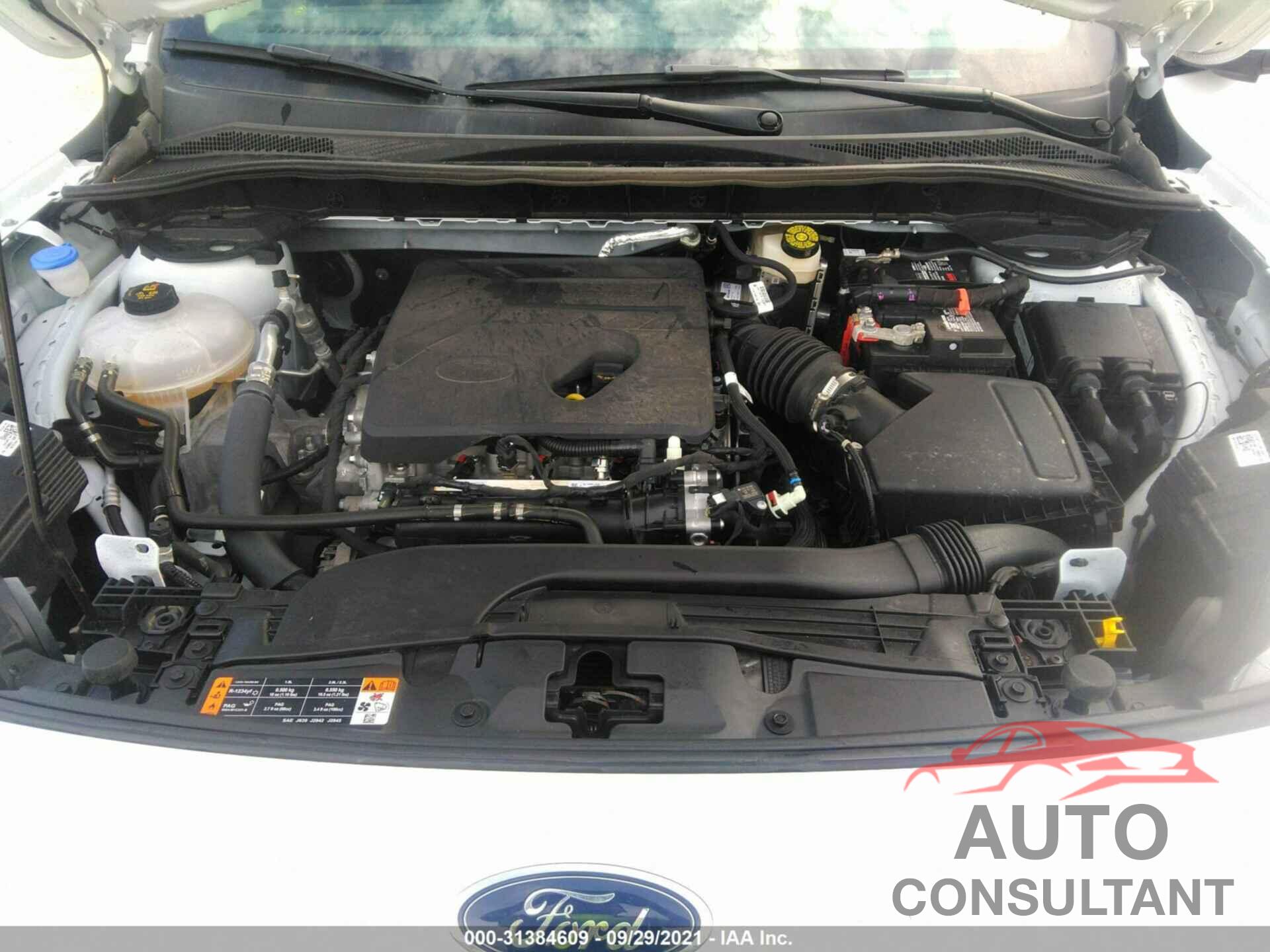 FORD ESCAPE 2020 - 1FMCU0G68LUB90120