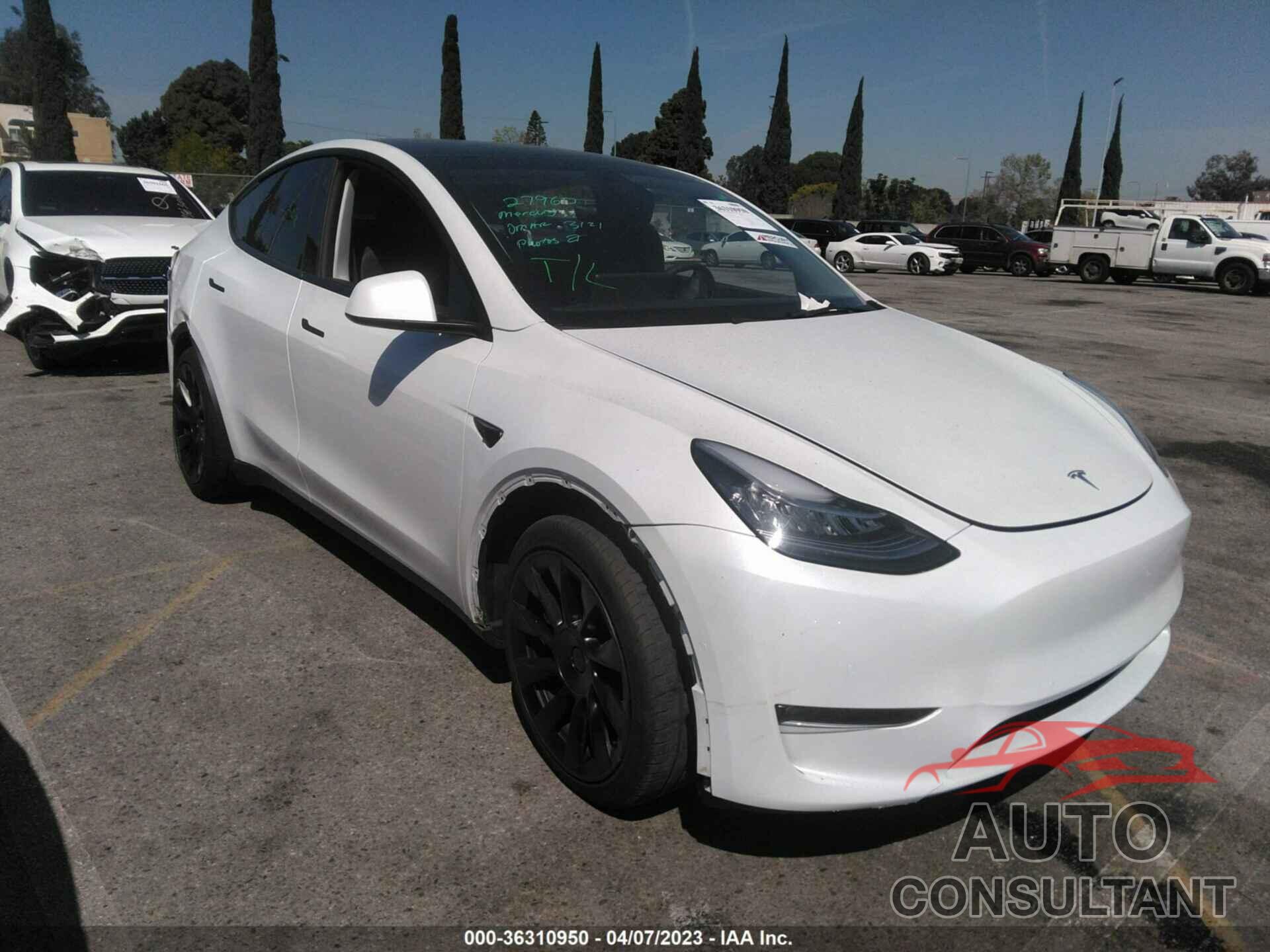 TESLA MODEL Y 2021 - 5YJYGDEE3MF271197