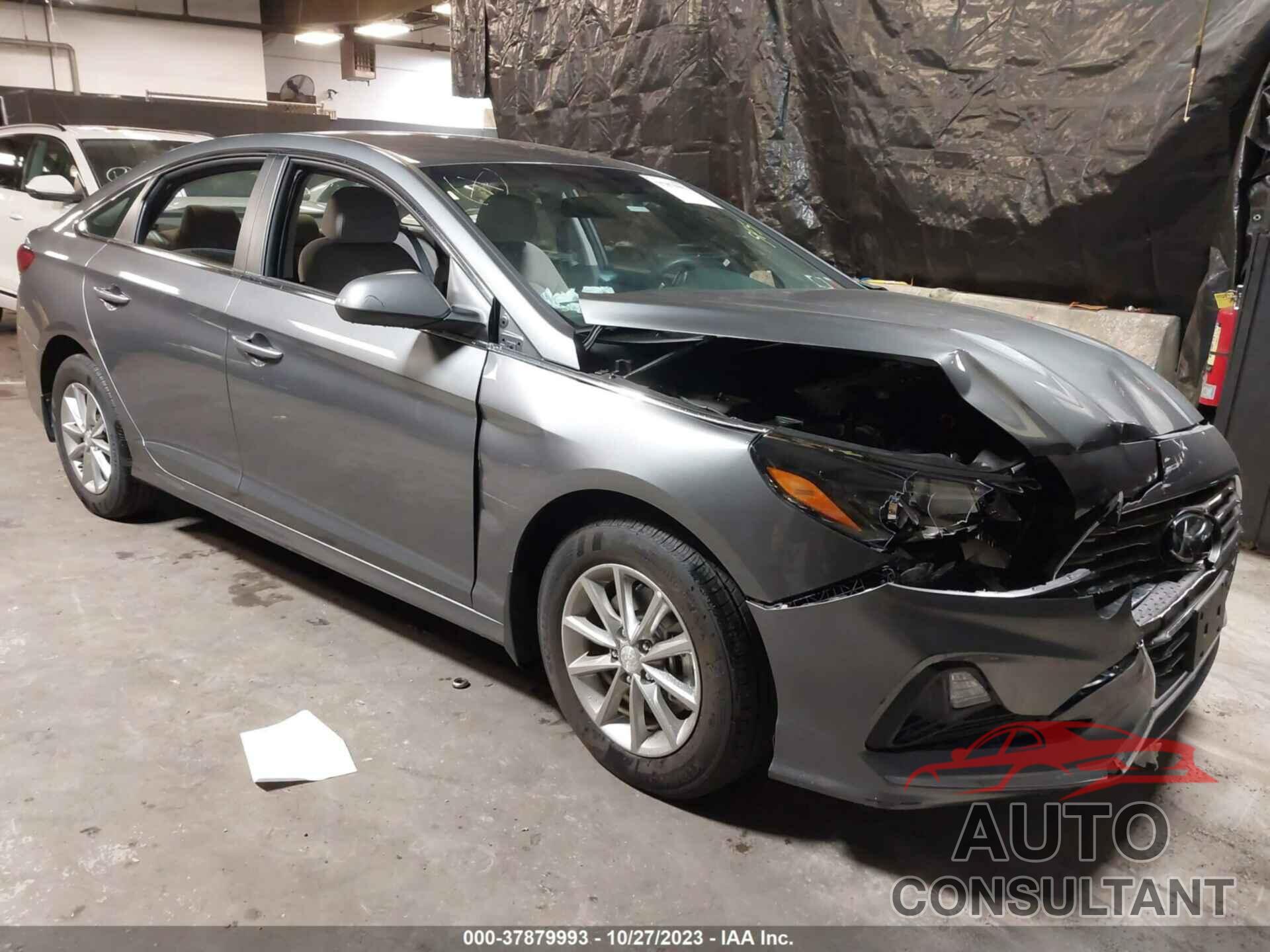 HYUNDAI SONATA 2019 - 5NPE24AF0KH797978