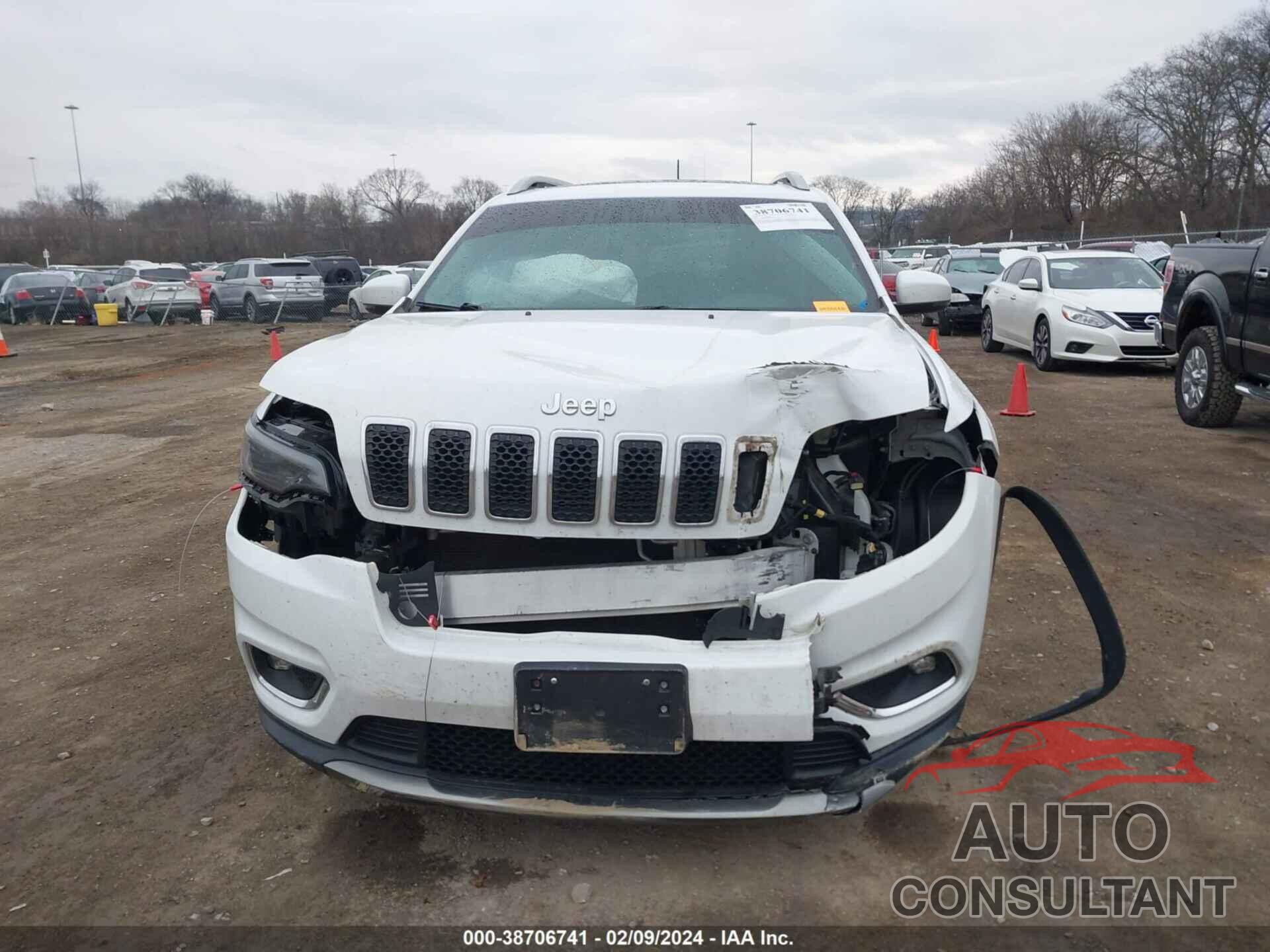 JEEP CHEROKEE 2019 - 1C4PJMDX3KD118078